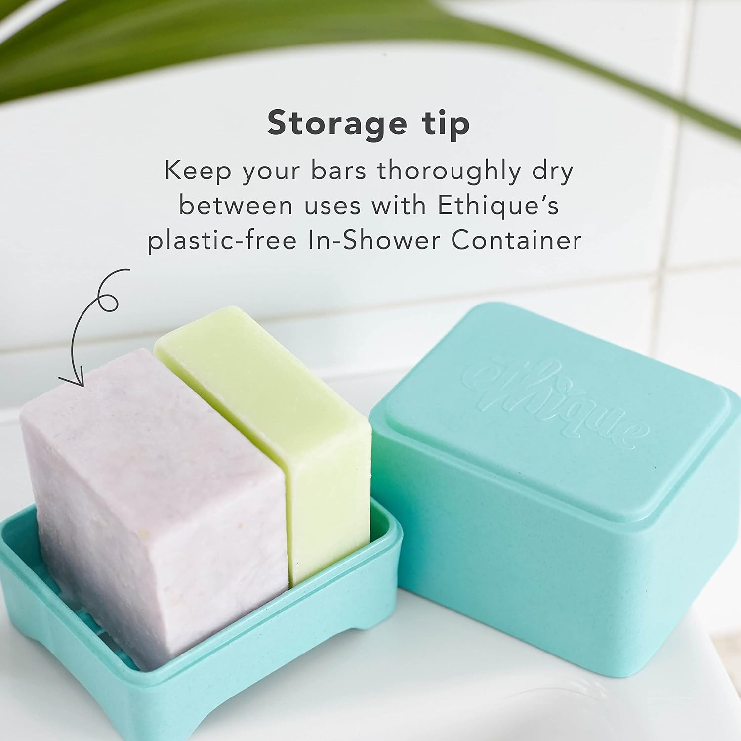 Ethique Aqua In-Shower Container for Shampoo and Conditioner Bars - Plastic-Free (Pack of 1) image number 4