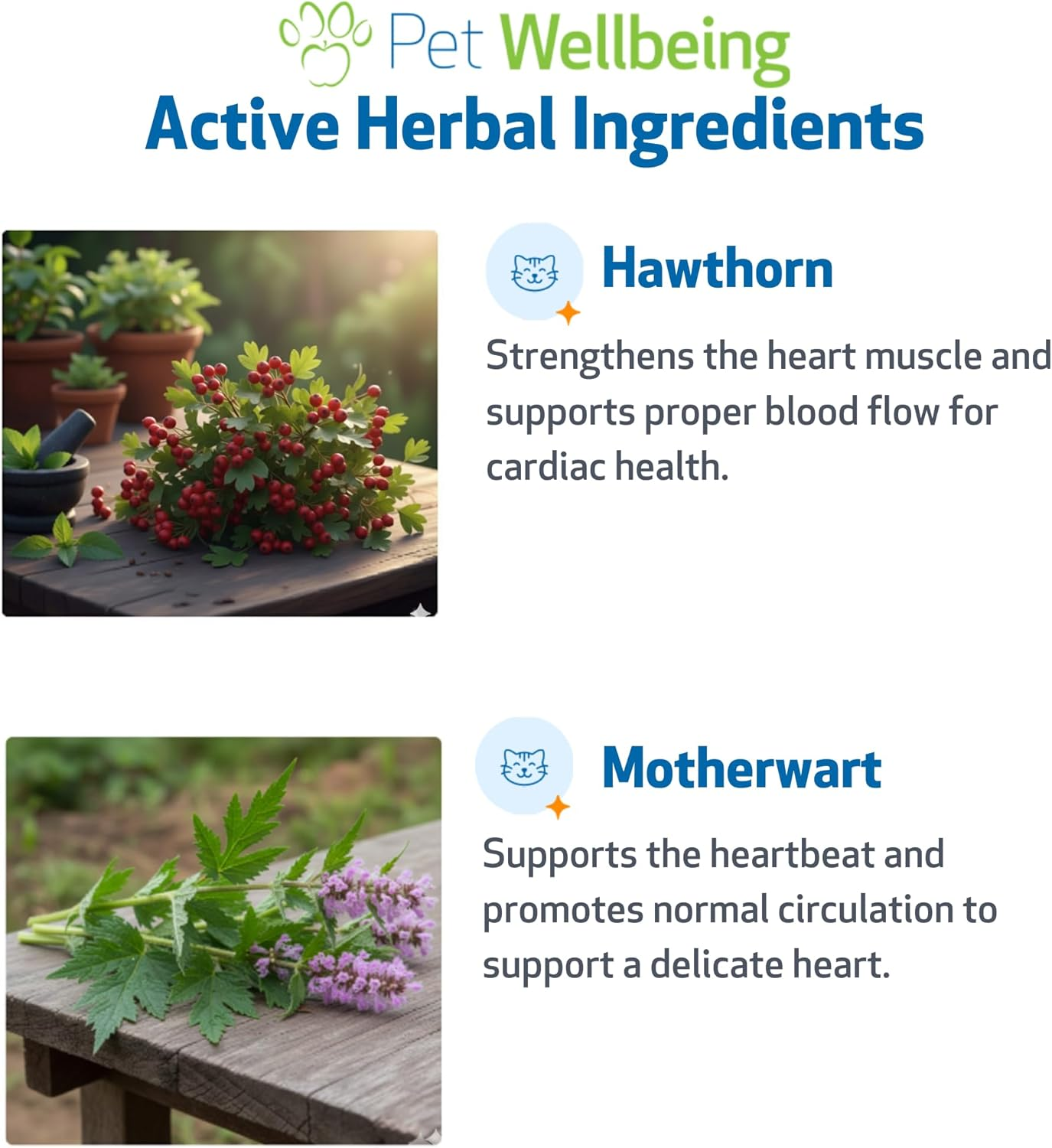 Pet Wellbeing Young at Heart for Cats - Vet-Formulated - Heart Health, Circulatory & Cardiovascular System, Hawthorn, Motherwort, Schisandra - Herbal Supplement 2 Oz (59 Ml) image number 3