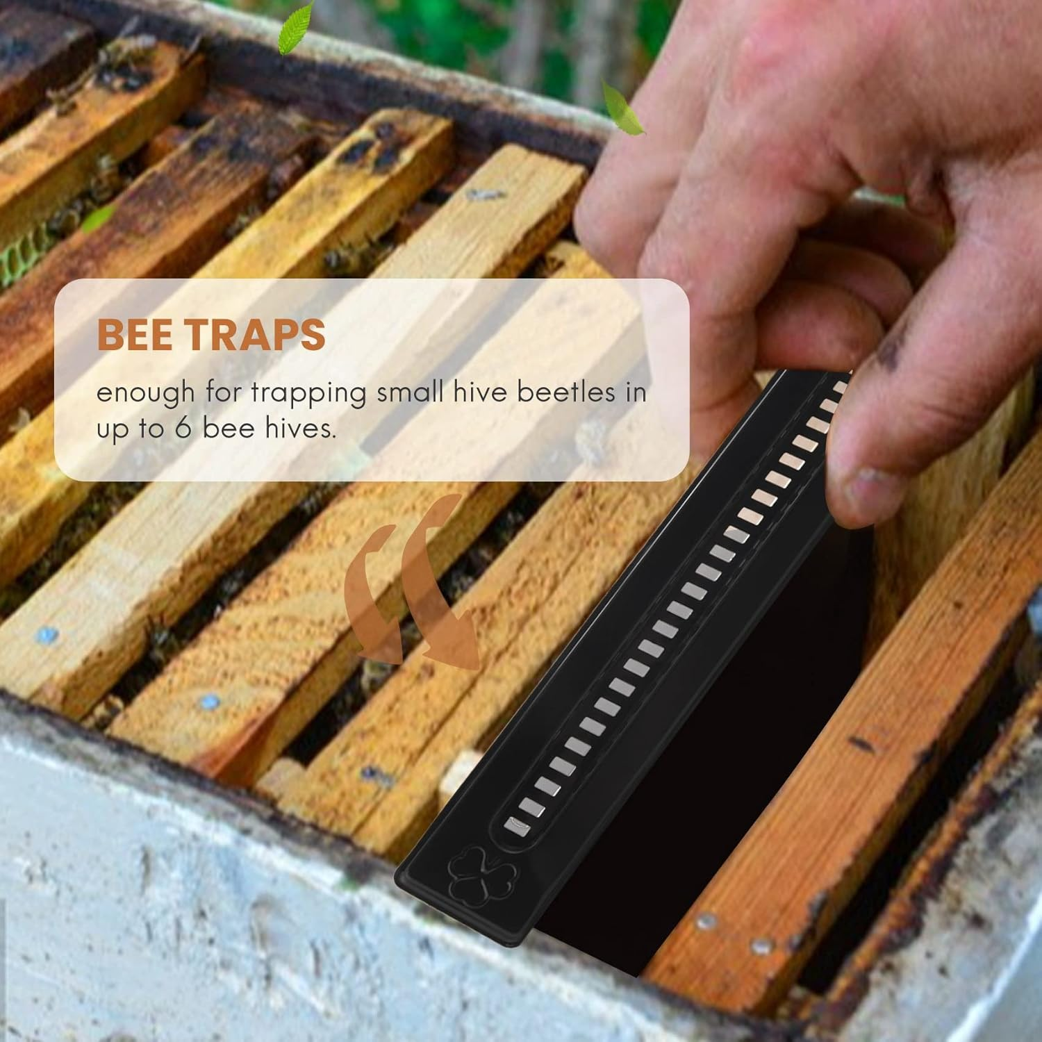 12 Pack - Traps for Naturally Catching Small Hive Beetles Bee Hives without the Use of Any Chemicals Or image number 4