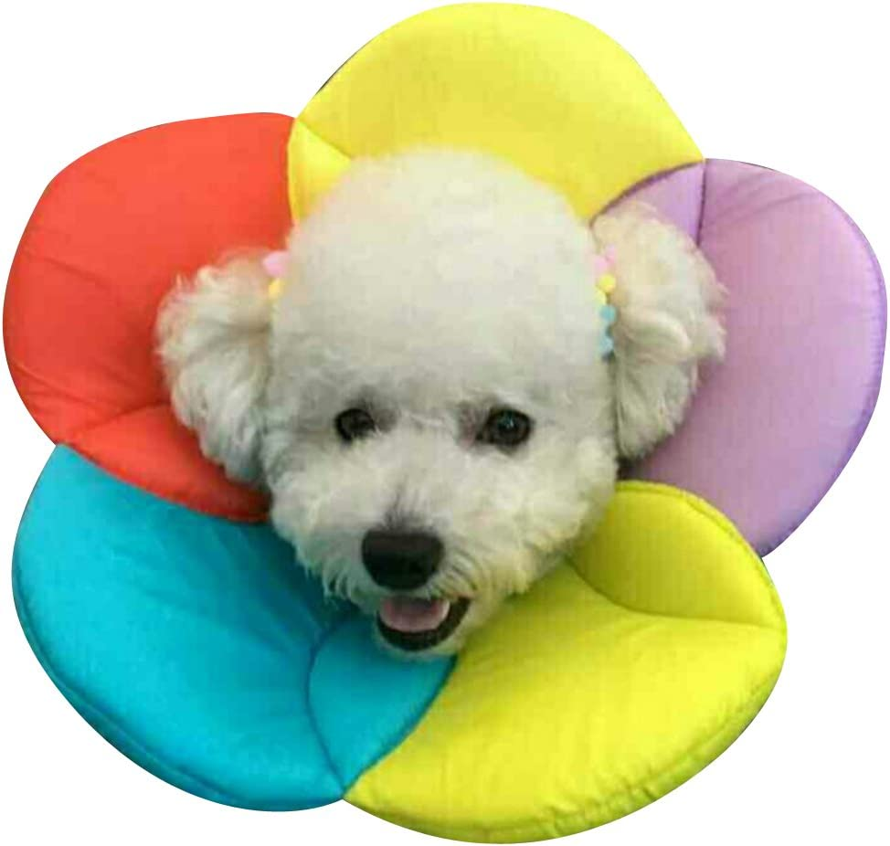 Hotumn Pet E-Collar after Surgery Elizabethan Collars Breathable Recovery Dog Cone Dogs Training Cone Collar Soft Edge for Cats Small Dogs Easy to Clean (Small, Multicolour) image number 3
