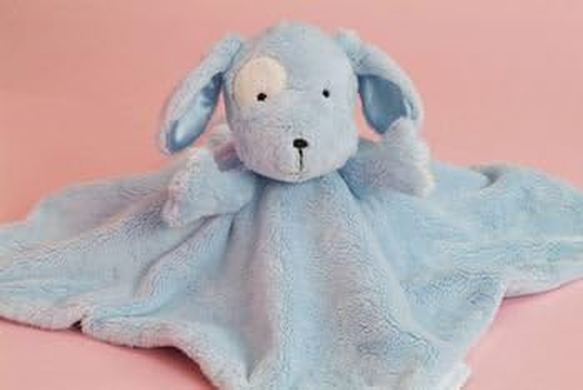 Save Our Sleep Tizzie Hall Dizzie Dog Baby Comforter 12"/30Cm Blue image number 1