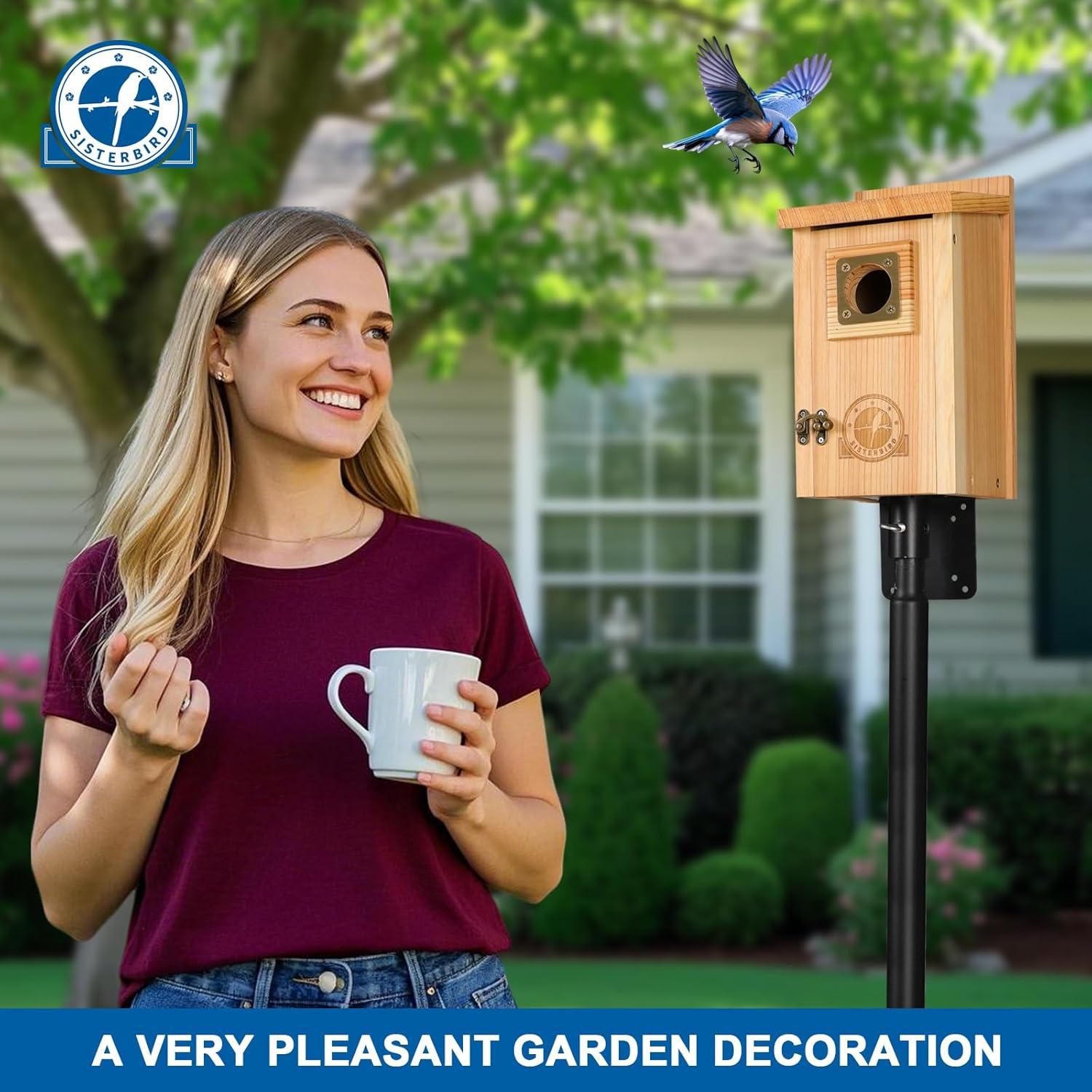 Bird Houses for outside Clearance with Copper Guard, Cedar Bird House Outdoor, Bluebird Finch Swallow Wren Chickadee image number 5