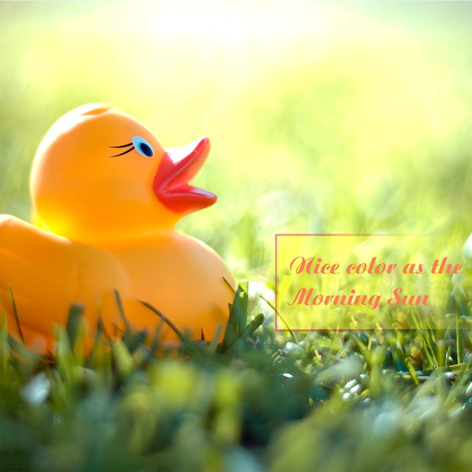 Novelty Place Rubber Duck Float Ducky Baby Bath Shower Toy, Yellow Mini Duckies for Toddlers and Kids (12 Pcs) image number 5