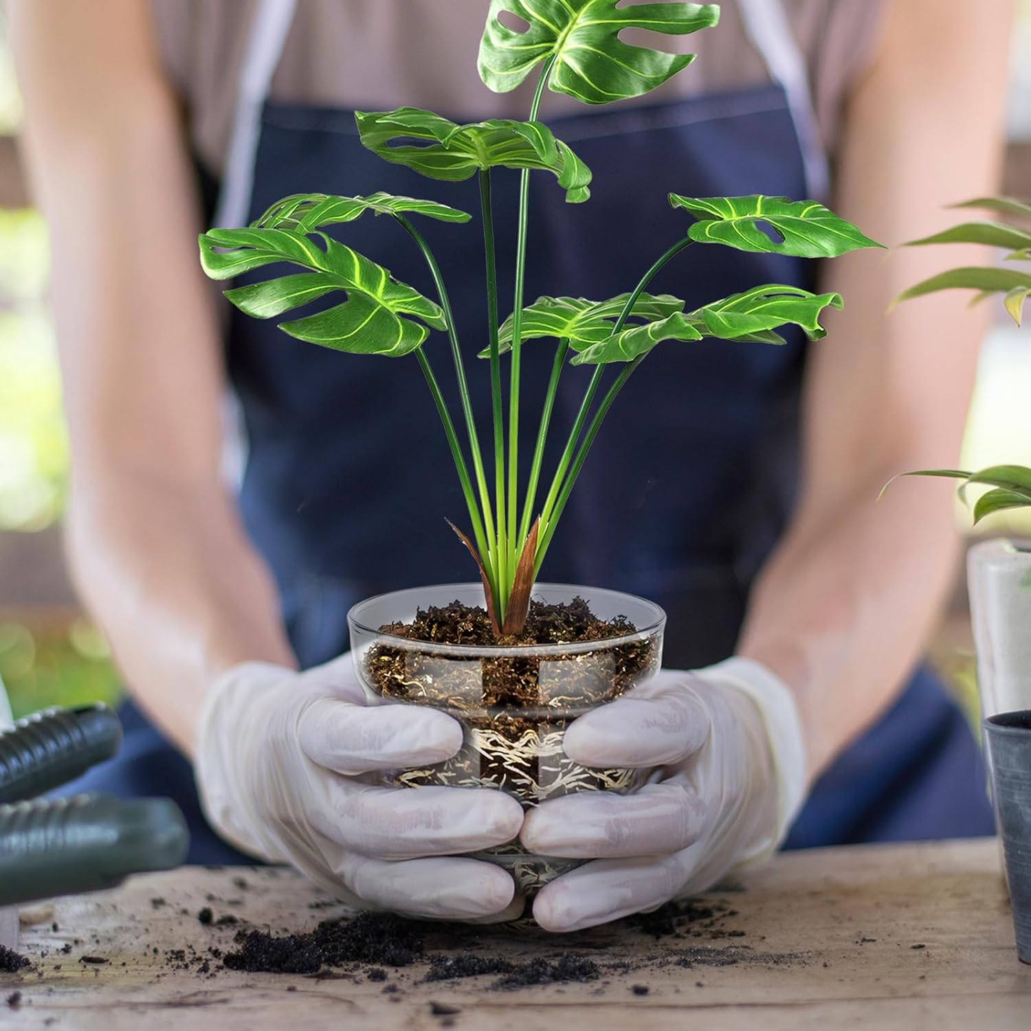 Baderke 4 Inch Glass Plant Pots with Saucer, Flower Nursery Plant Pots with Drainage for Flower Seed Starter Transparent Seedling (1 Set)