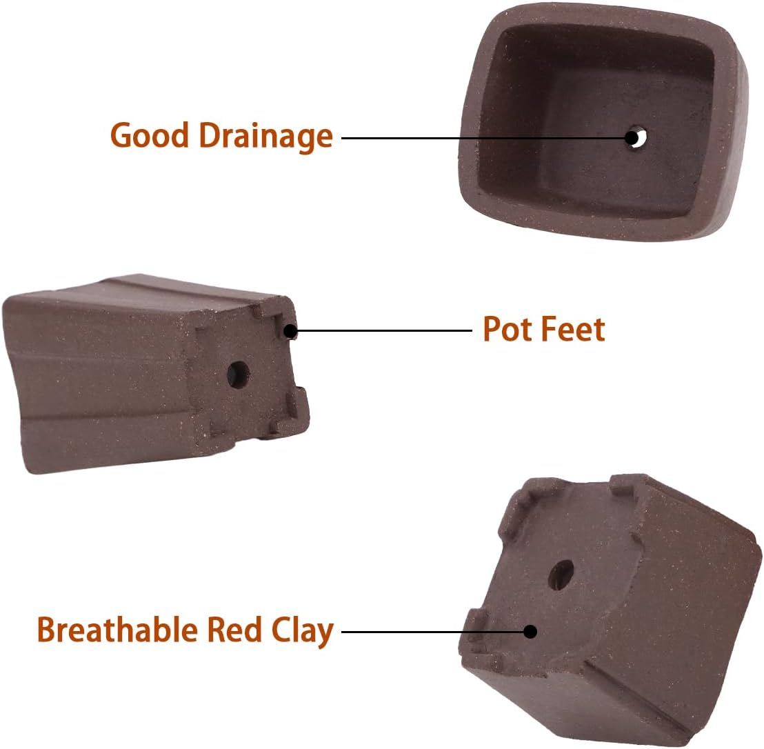 Happy Bonsai 4 Pc Zisha Mini Bonsai Pots 2" Width image number 4