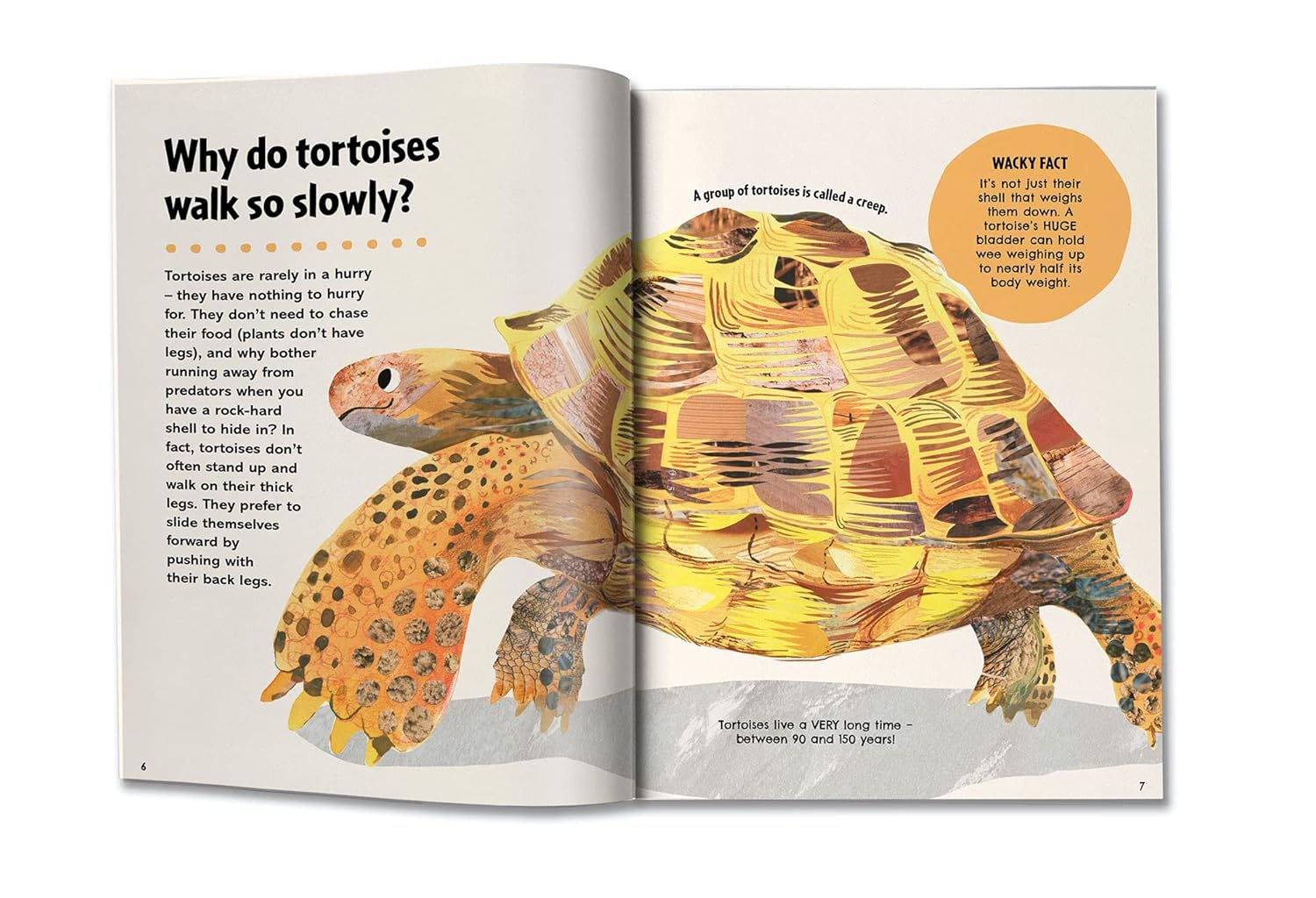 Britannica First Big Book of Why: Why Can'T Penguins Fly? Why Do We Brush Our Teeth? Why Does Popcorn Pop? the Ultimate Book of Answers for Kids Who Need to Know WHY! image number 3