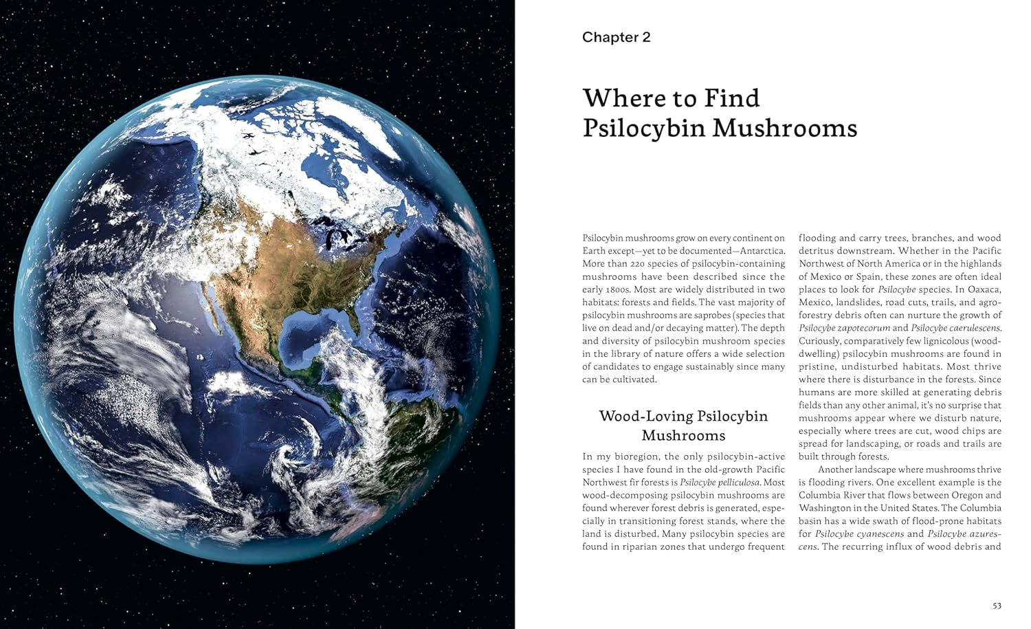 Psilocybin Mushrooms in Their Natural Habitats: a Guide to the History, Identification, and Use of Psychoactive Fungi