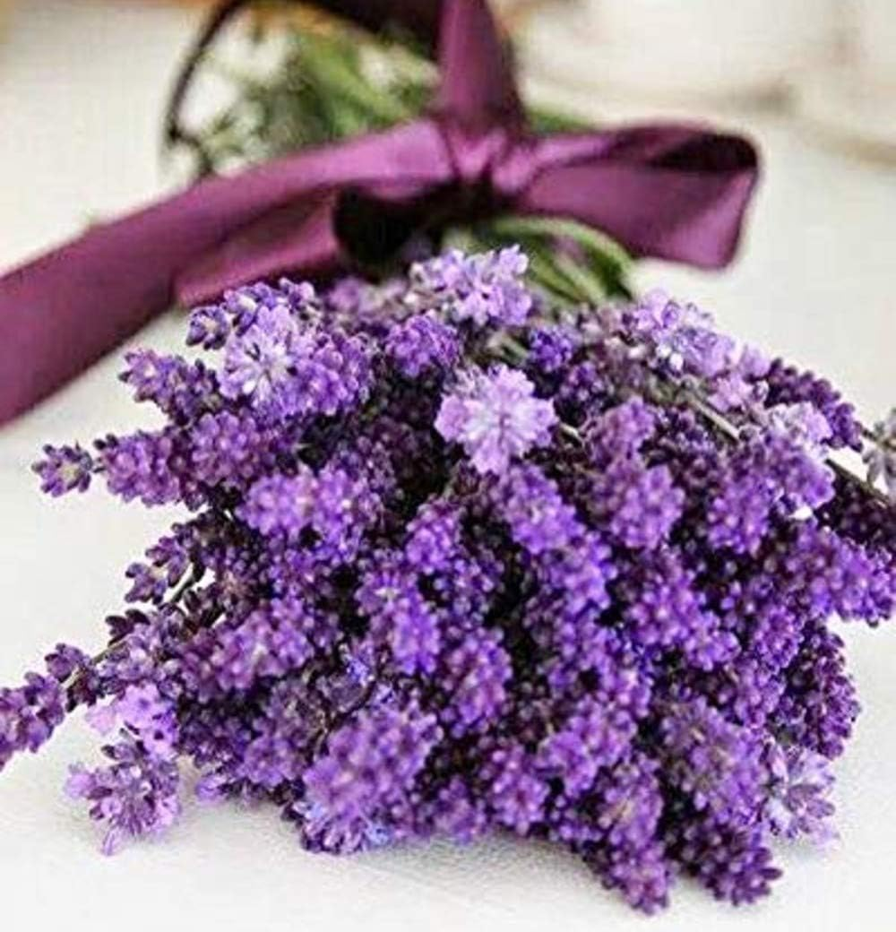 Shelley Kyle Shelley Kyle French Lavender Mini Gift Set, 1 Count, image number 5