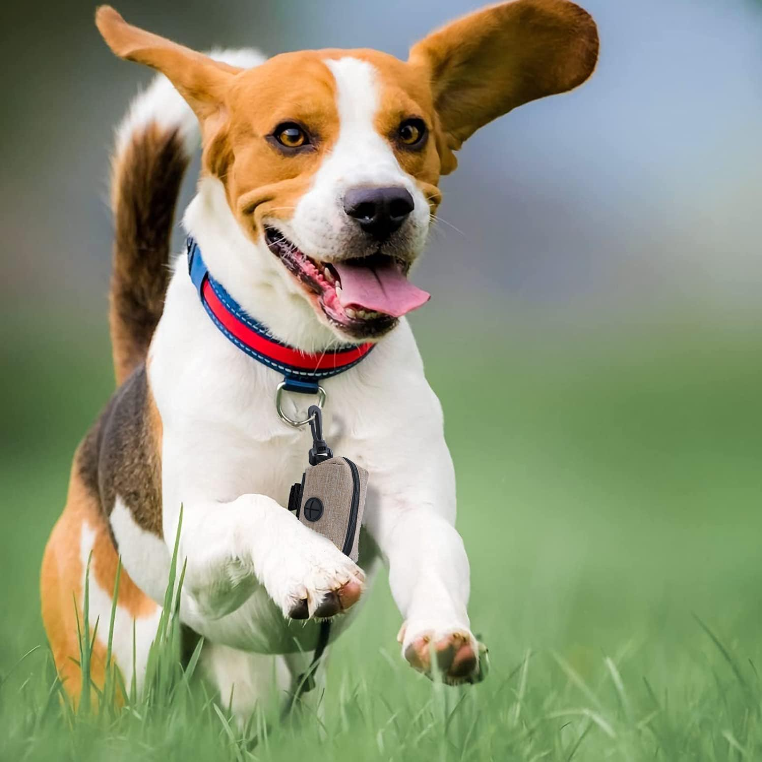 Pack of 2 Waste Bag Dispenser, Dog Waste Bag Dispenser, Grey Dog Waste Bag Holder, Portable Dog Waste Bag Dispenser with Zip, Pet Dog Waste Bag Dispenser, Fits Any Dog Lead for Walking Running image number 2