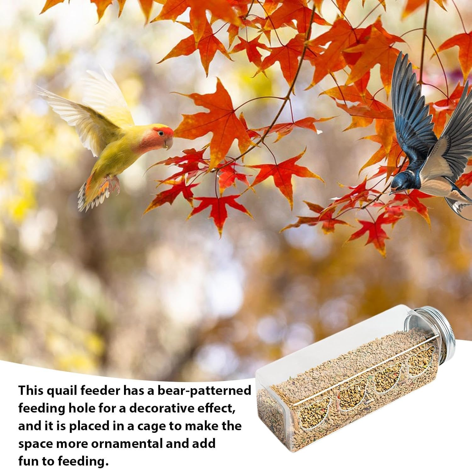 Maciun Quail Feeder - 4 Ports No Mess Chicken Feeder for Brooder - Portable Bottle Shaped Birdfeeders, Cage Accessories for Quail Parrots Budgies Basilisks Finches image number 4