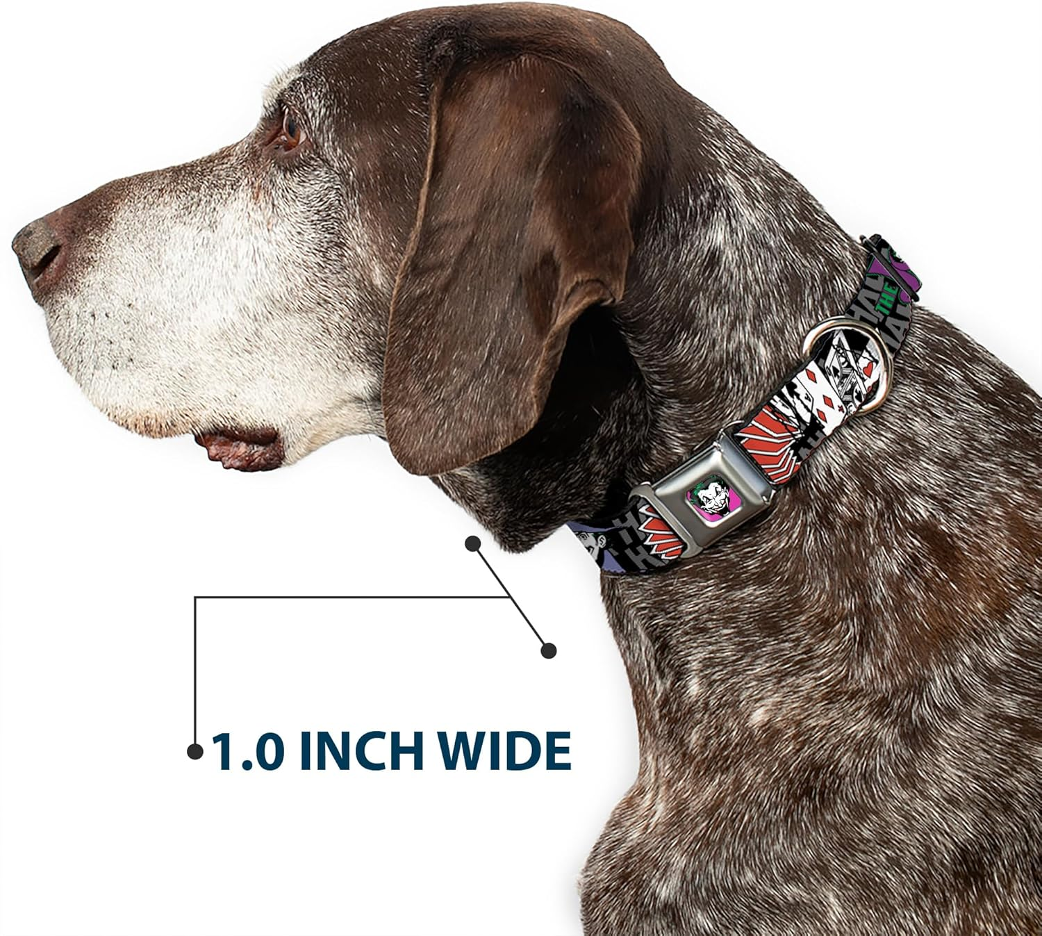 Buckle-Down Seatbelt Buckle Dog Collar - the Joker Pose/Cards/Hahahaha Black/Gray - 1.5" Wide - Fits 18-32" Neck - Large image number 2