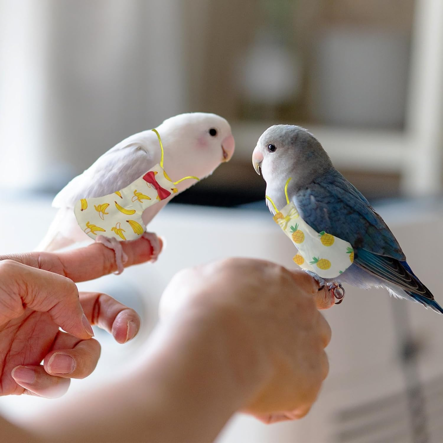 6 Pcs Bird Diapers, Parrot Nappy Reusable Flight Suit with Waterproof Inner, Washable Parrots Nappy for Parakeet Cockatiel Mini Macaw Budgie Canary Cute Style (M) image number 1