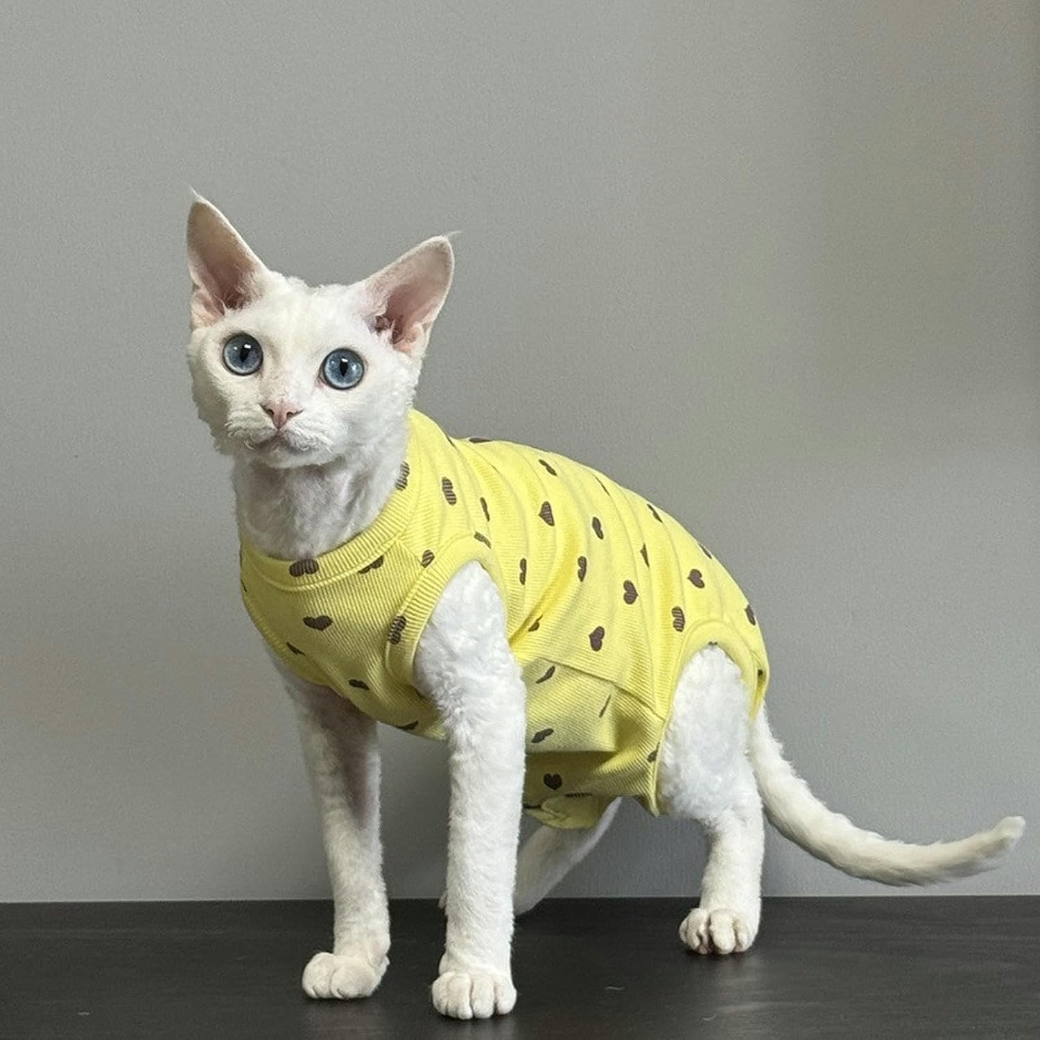 IUOUTG Sphynx Cat Clothes Hairless Cat Shirt Breathable Cotton Pet Clothes round Collar Kitten Pullover Vest Sleeveless Four Leg Cat Pajamas with Cute Heart Pattern for Cornish Rex Devon Rex image number 4