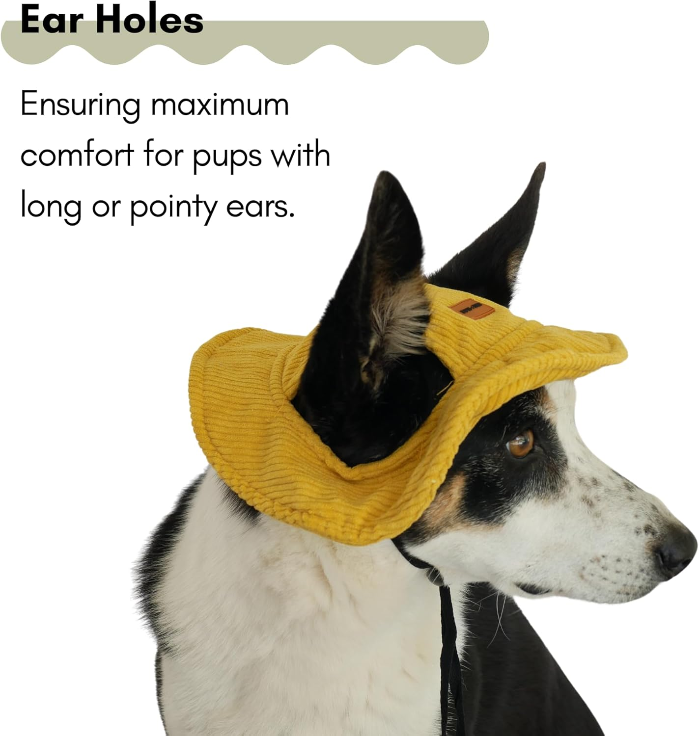 Yellow Corduroy Dog Hat Wide Brim Hat for Pets Outdoor Hat Sun Protection Summer Cap for Small Medium Large Dog (L) image number 5