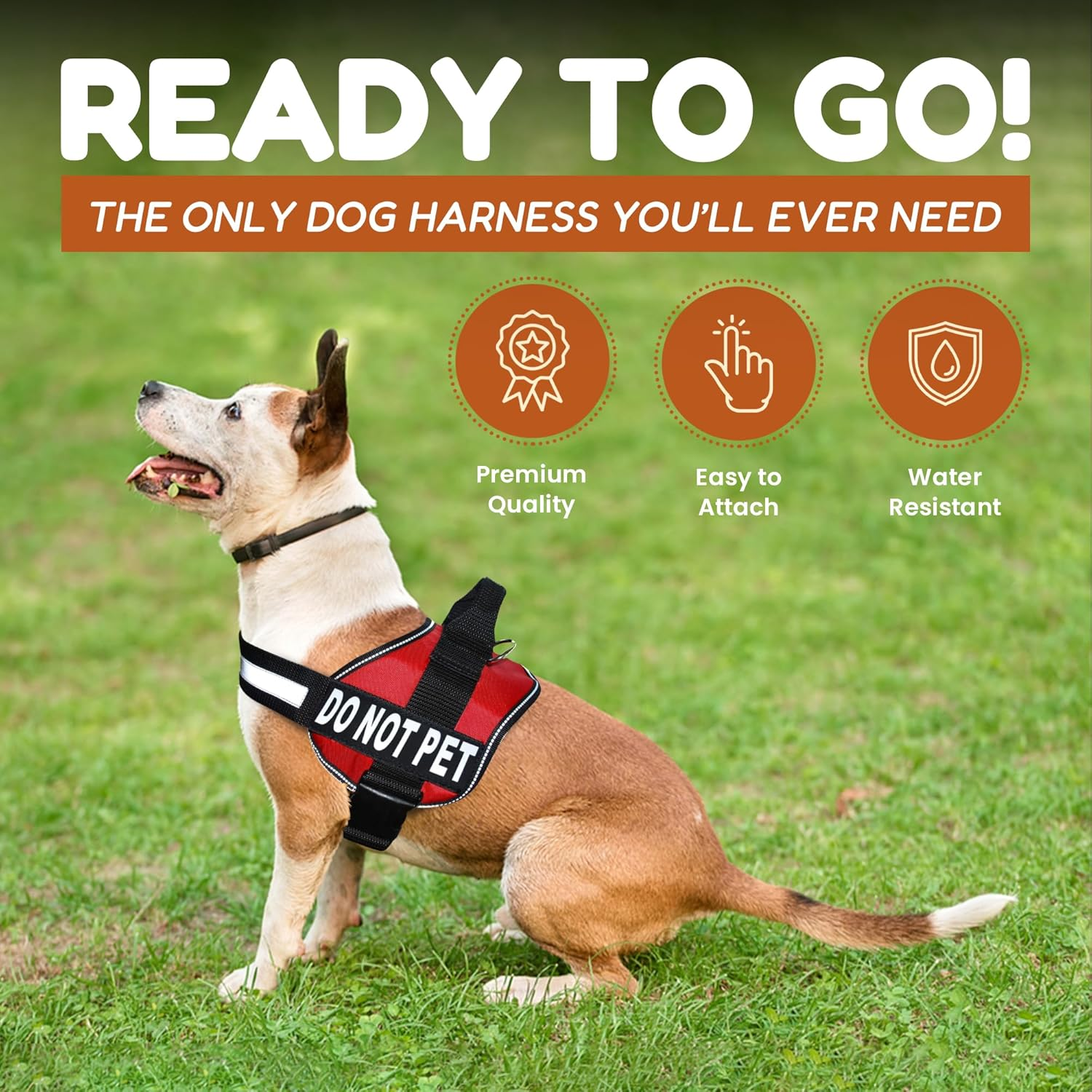 DO NOT PET Dog Vest Harness with Removable Patches and Reflective Trim. Comes with 2 DO NOT PET Reflective Removable Patches. Please Measure Dogs Girth before Purchase image number 4