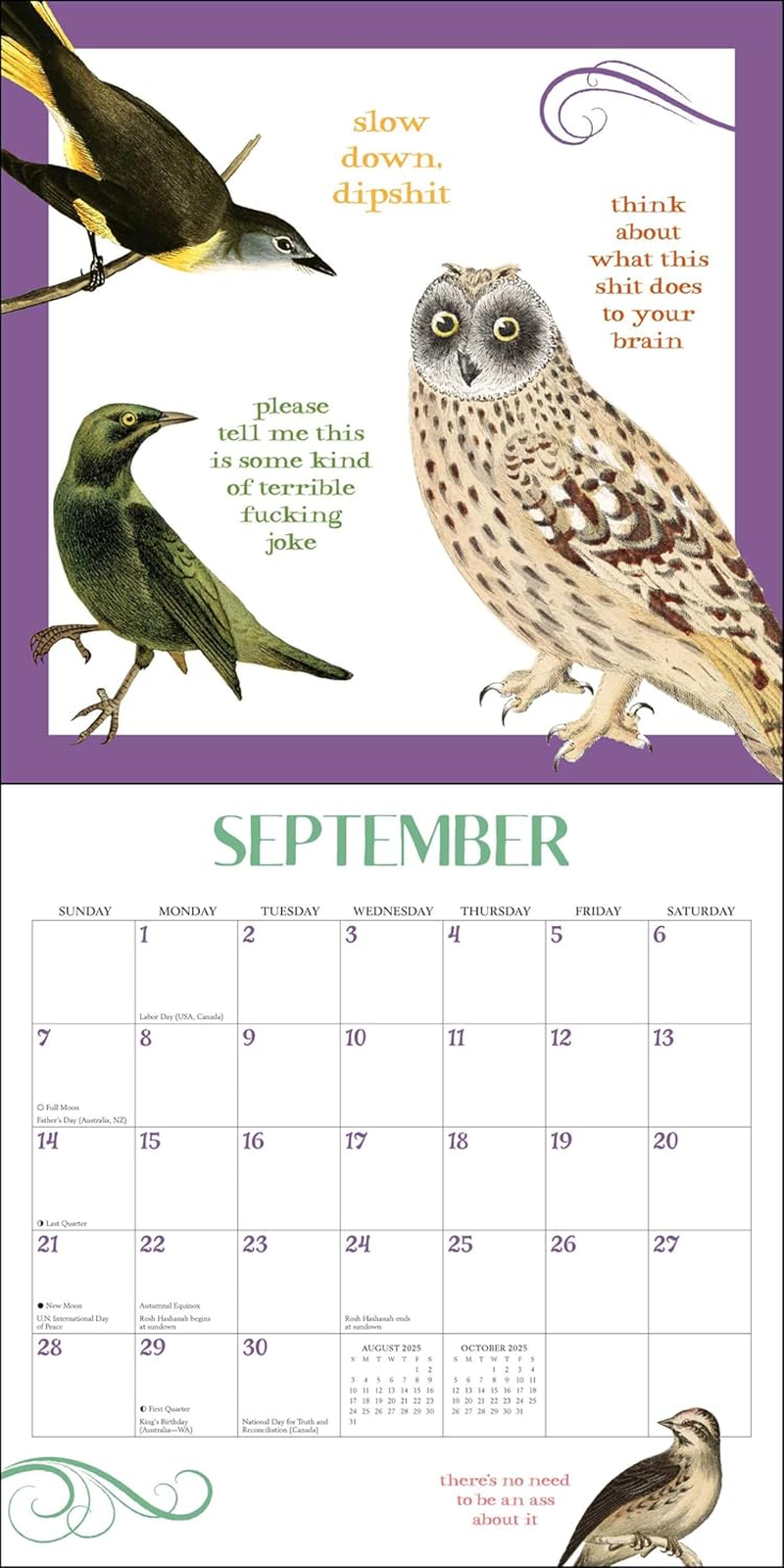 Effin' Birds 2025 Wall Calendar image number 1