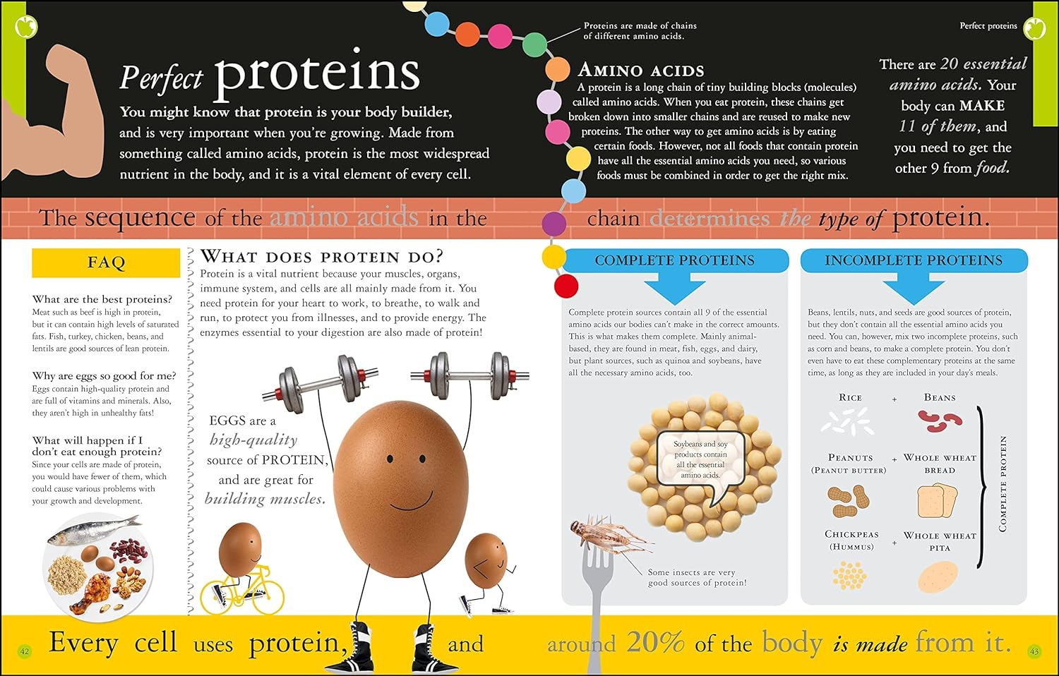 Are You What You Eat? image number 3