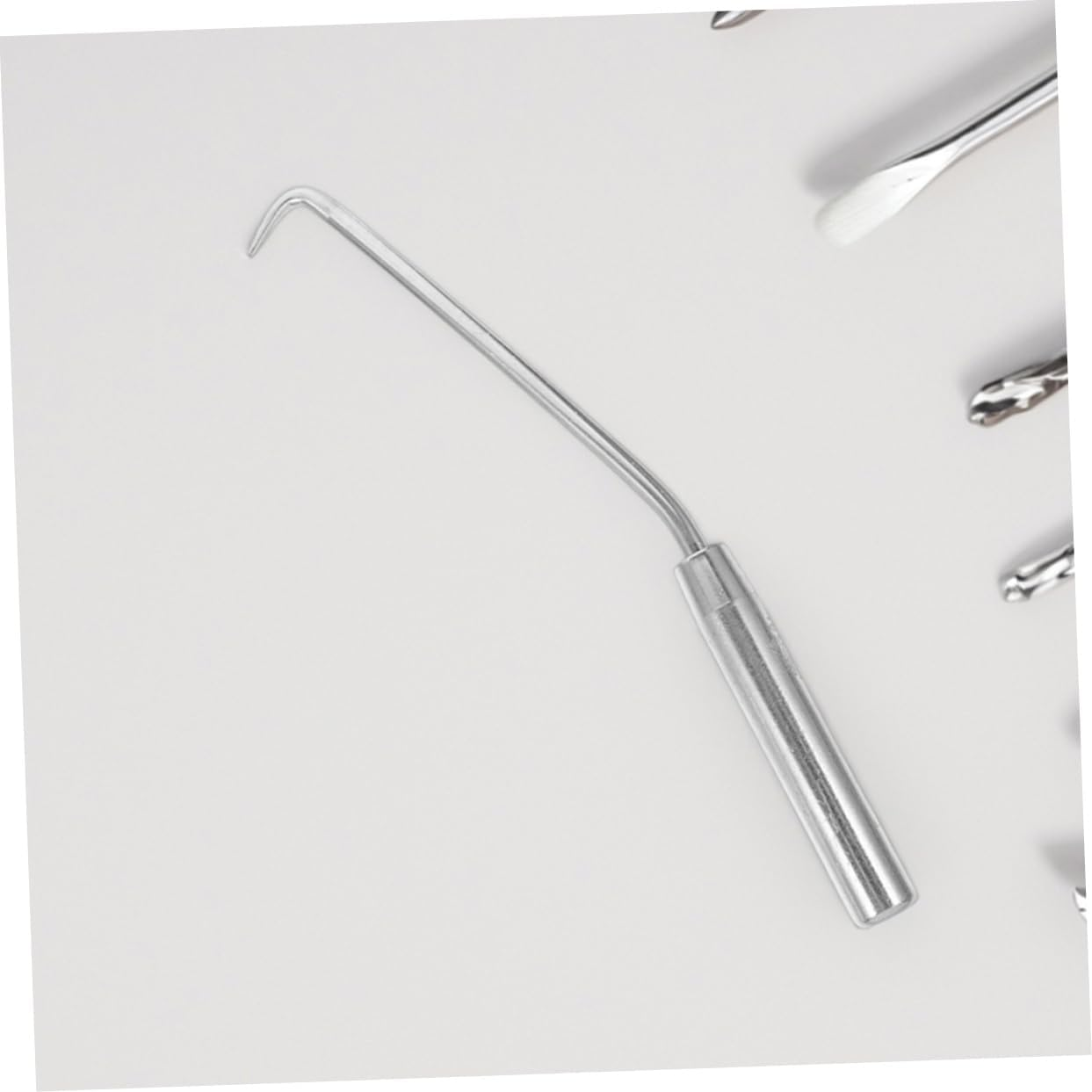 Yardenfun 3Pcs Manual Fence Fastening Hooks Garden Supply Tying Tools for Plant Trainers Easy to Use image number 3