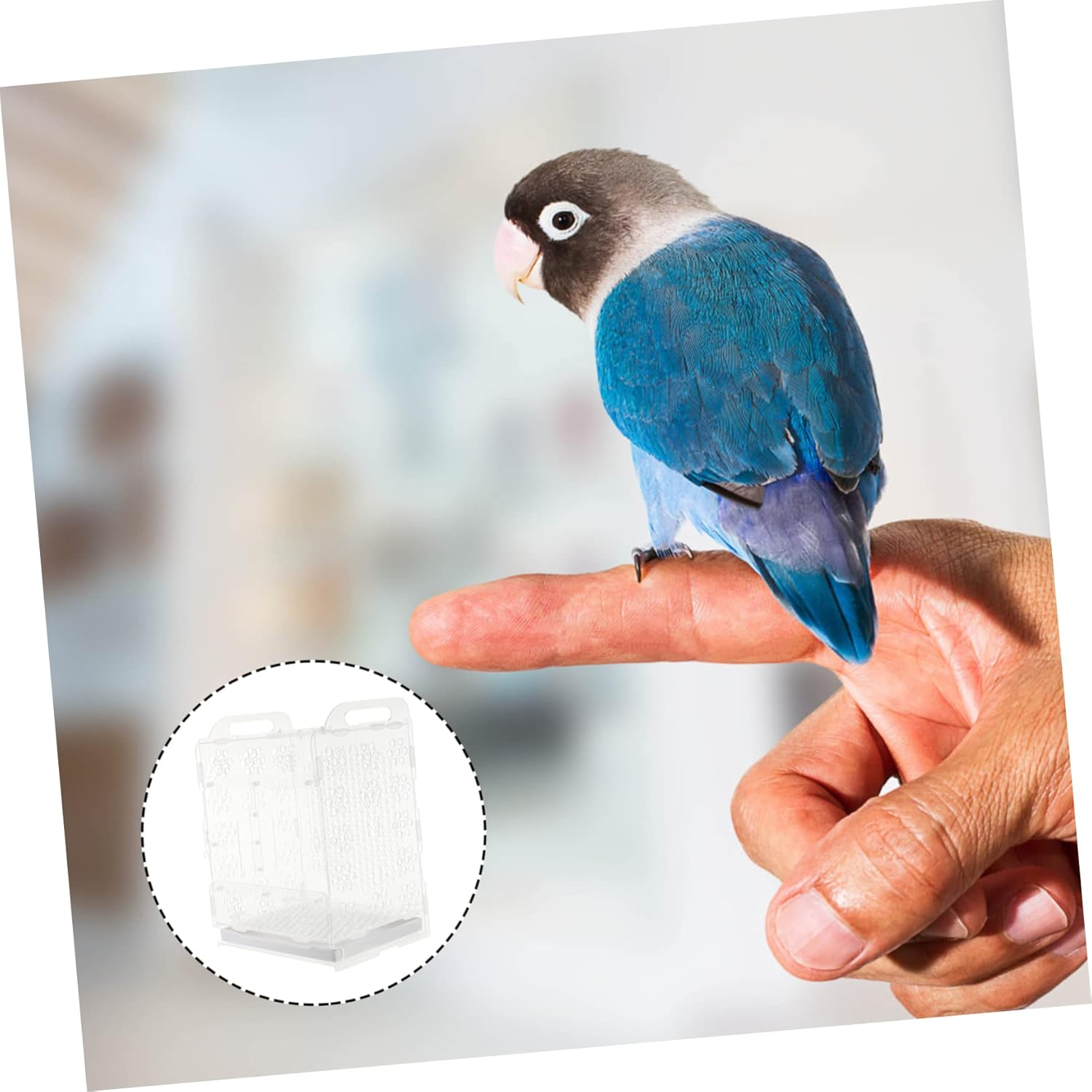 Minkissy Acrylic Parrot Cage Spacious Interior Sturdy Tear-Resistant Small Bird Nest House Good Airflow Simple PET Bird Supply image number 2