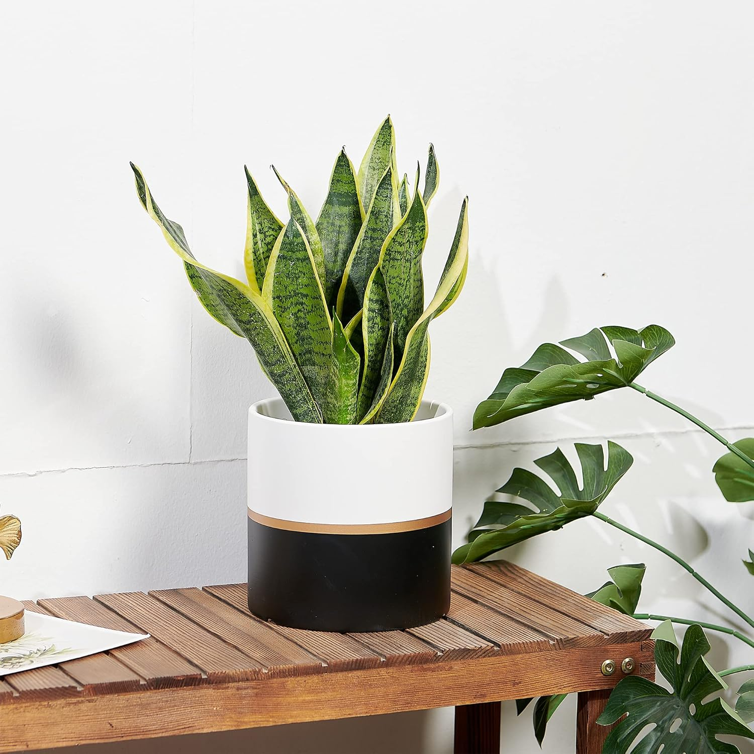 Planter Plant Pots Indoor - 6.7 Inch Modern Ceramic Flower Pot with Drainage Hole for Home Office Decoration (White Black)(Plant Not Included) image number 7