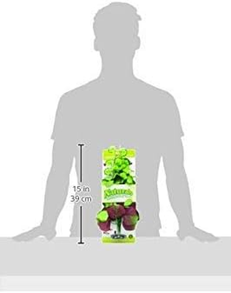 Marina Naturals, Pennywort Silk Plant, Large Fish Tank Decoration, PP103