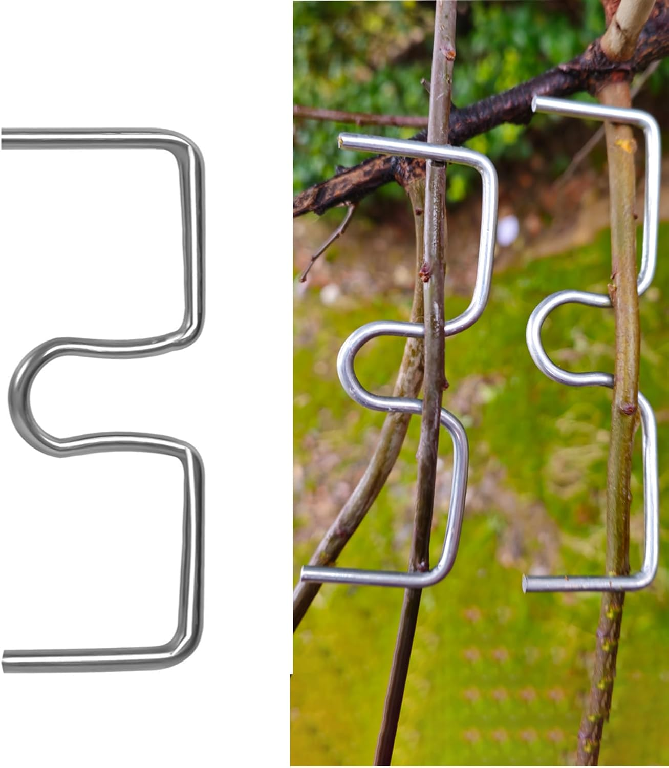 DAGUANZHI 15 Pcs Fruit Tree Branch Puller Tying Machine Farm Tools New Plum Tree Open Angle Pull Branch Stereotyped Branch Bending Tool Fruit Branch M-3.94(Inch)