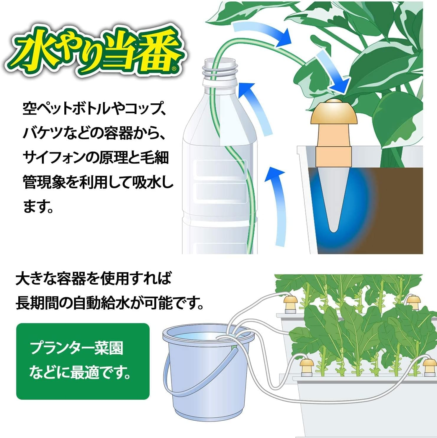 Maruhachisangyou 104031 Watering Service, M, Pack of 2, Beige image number 4