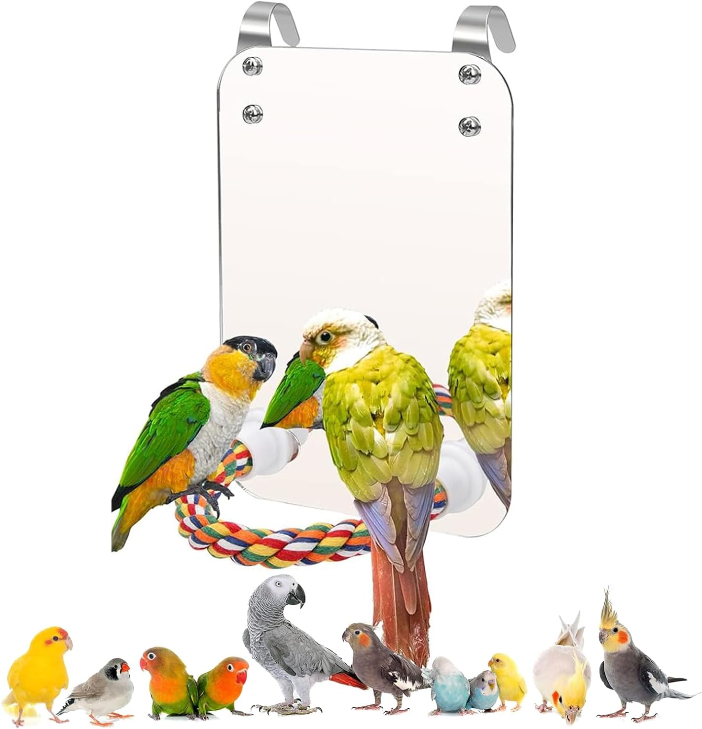 Norhogo Parrot Bird Acrylic Mirror Toy with Perch, Bird Cage Stand, Rope, Mirror for African Greys, Amazons, Parakeets, Cockatoos image number 1