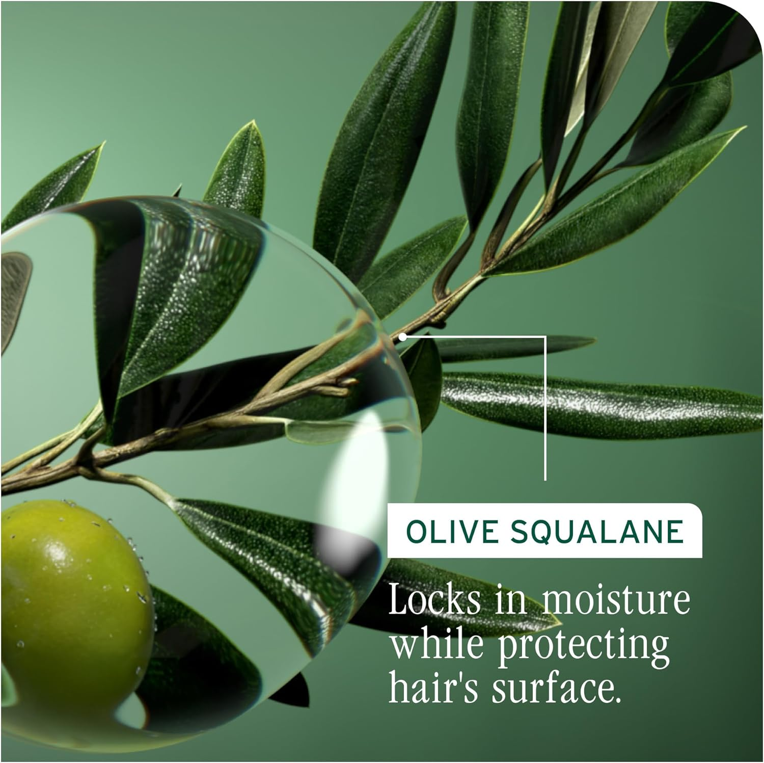 Matrix Biolage Strength Recovery Deep Treatment Conditioner 100Ml image number 2