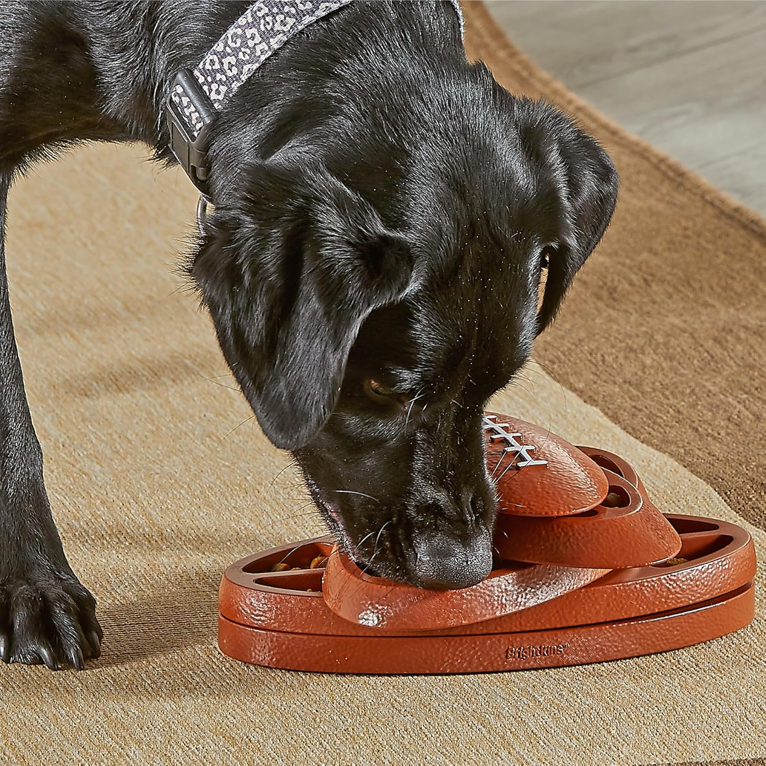 Brightkins Touchdown Time! Treat Puzzle - Dog Puzzle Toys, Interactive Dog Toys, Gifts for Dogs image number 5