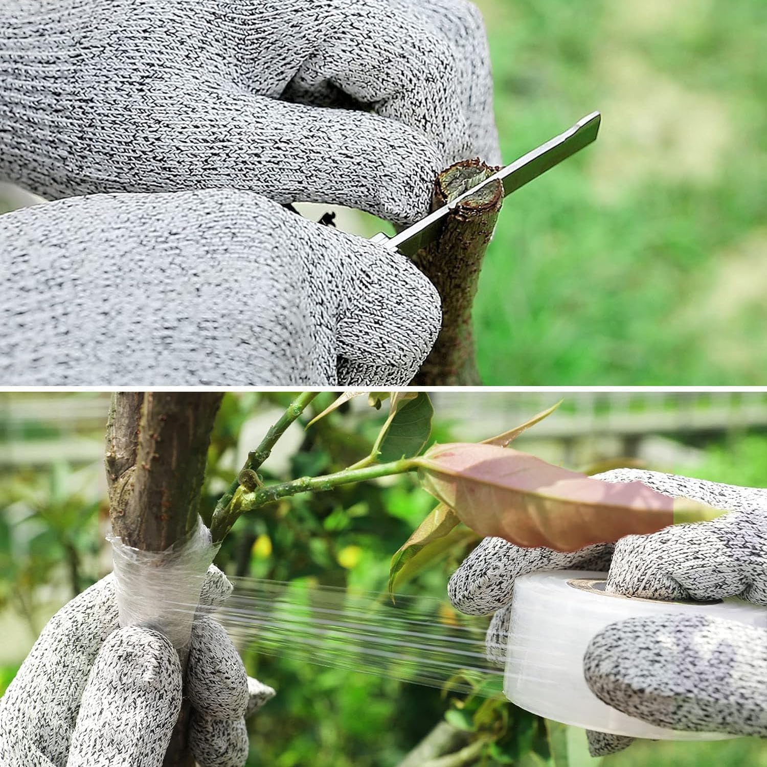 Double-Blades Grafting/Gardening Knife, with 2 Plants Repair Tapes for Floral Fruit Tree,Flexible Grafting Kit image number 1