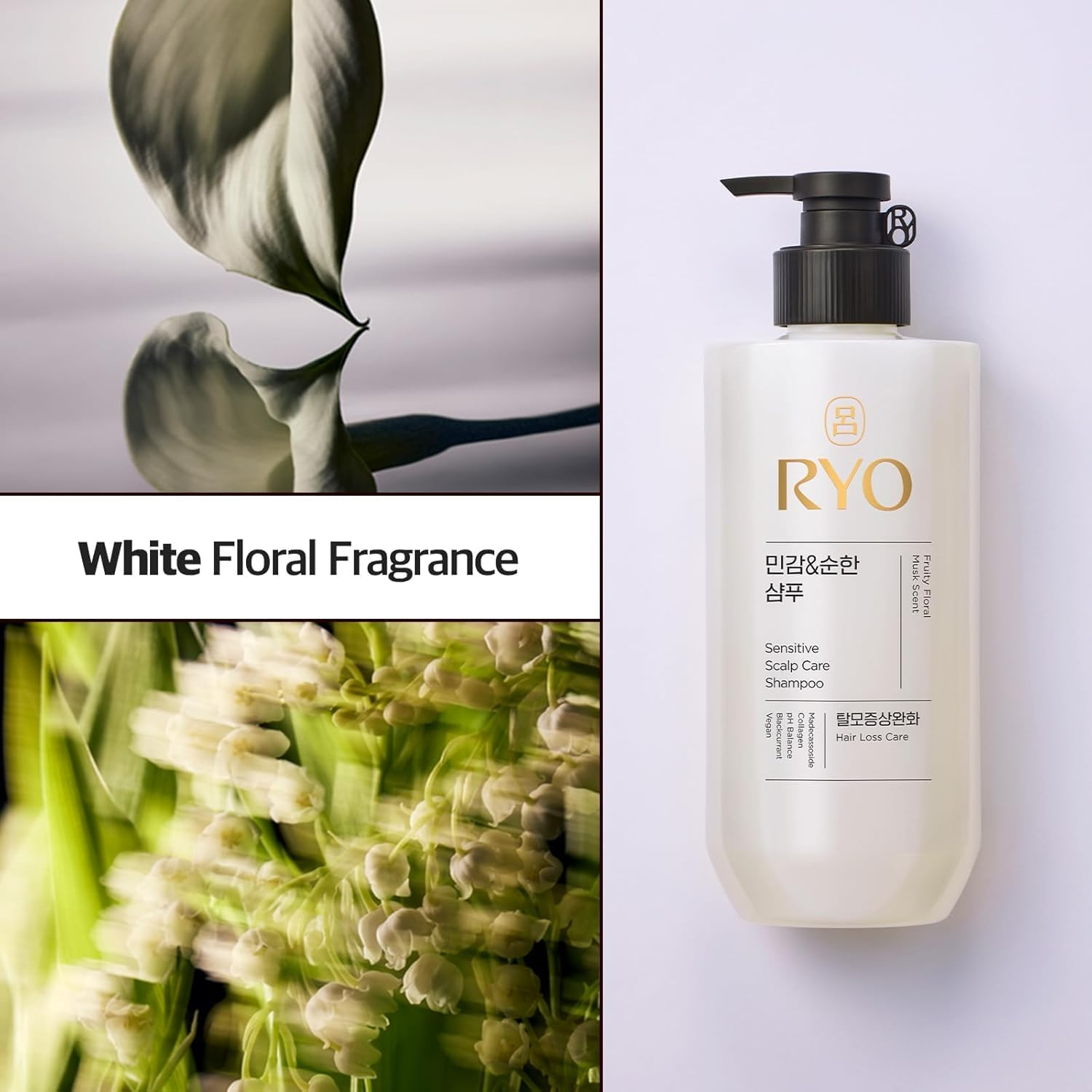 Sensitive Scalp Care Shampoo with Korean Ginseng & Caffeine - Soothing and Relief for All Hair Type, anti Loss Care, Dermatologist Tested. Korean Beauty Hair Loss Care for Ryo. image number 1