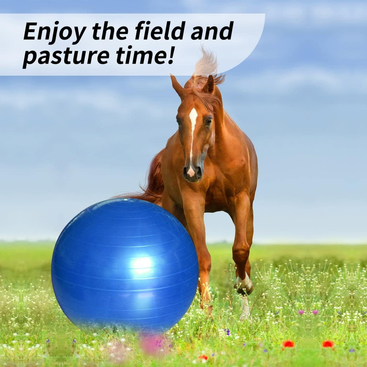 Ridefound 17 Inch Horse Play Balls Anti-Burst Herding Ball for Horse Mega Equine Ball for Play Training Horse Soccer Ball