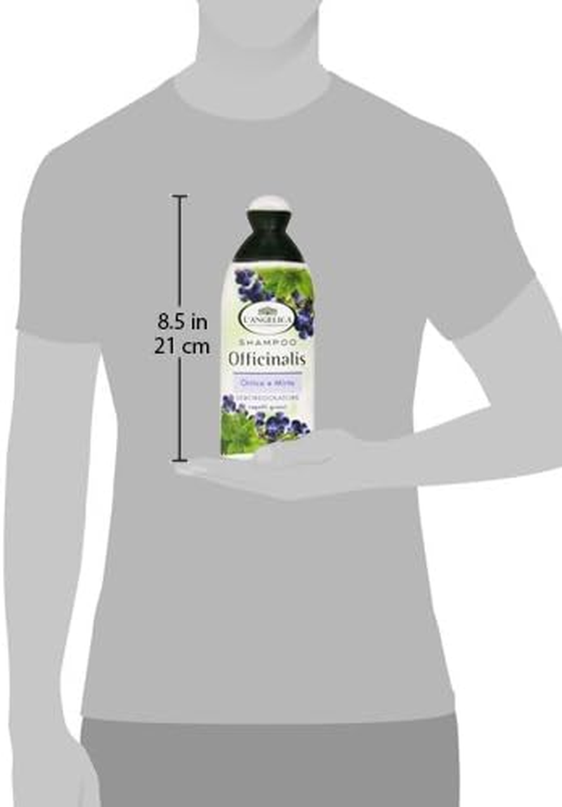 L'Angelica:"Officinalis" Shampoo Sebum - Regulating with Nettle and Myrtle * 250Ml - 8.45Fl.Oz * [ Italian Import ] image number 3