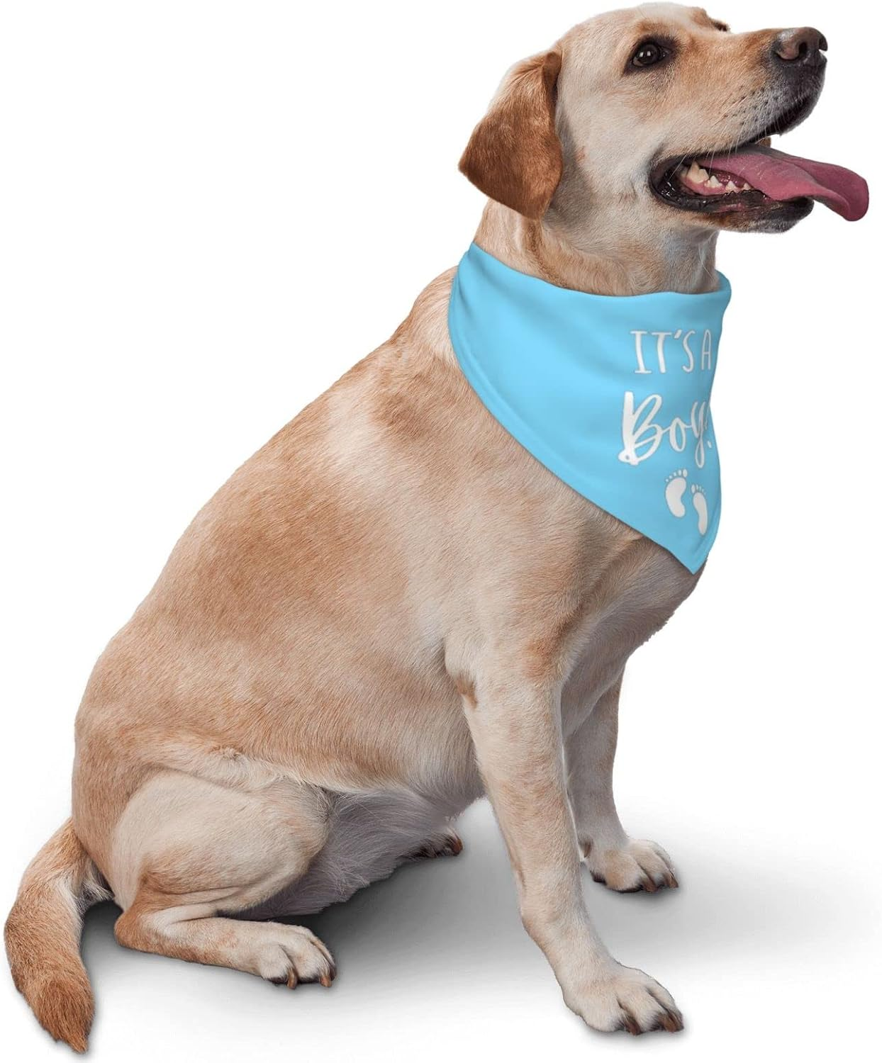 Vercosee It'S a Boy It'S a Girl Gender Reveal/Baby Announcement Dog Bandana,Engagement Bandana,Pet Dog Triangle Scarf Reversible,Baby Shower Photography Props1Pack (Blue) - Grass Green image number 5