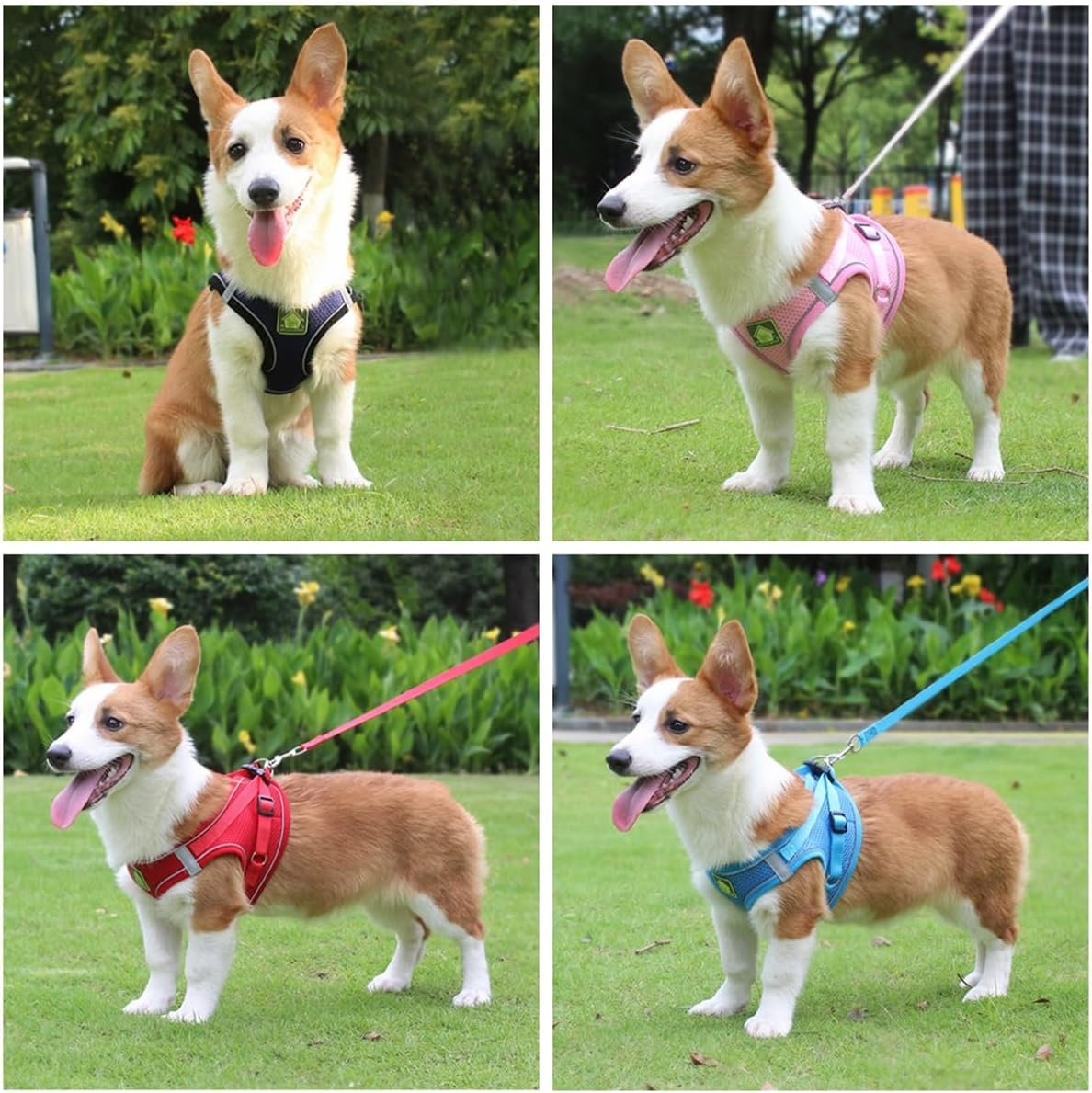 Puppy Dog Harness and Leash Set, No-Pull Pet Vest for Small Dogs and Cats, Easy Control Vest Harness with Adjustable Straps and Reflective Strip for Outdoor Walking Training (Size L,Black)