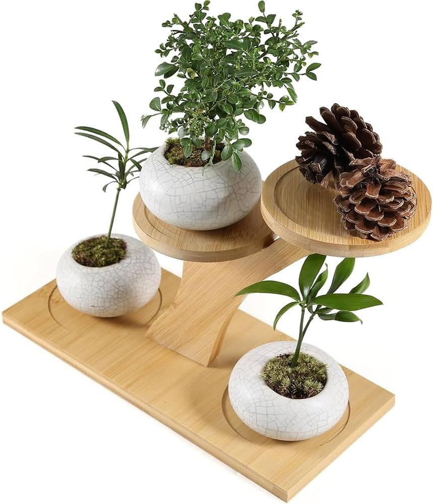 Window Sill Plant Shelf &ndash; Bamboo Desktop Plant Stand for Succulents, Herbs, and Flowers, Tabletop Plant Holder for Home, Office, Living Room, Bedroom Decoration image number 1