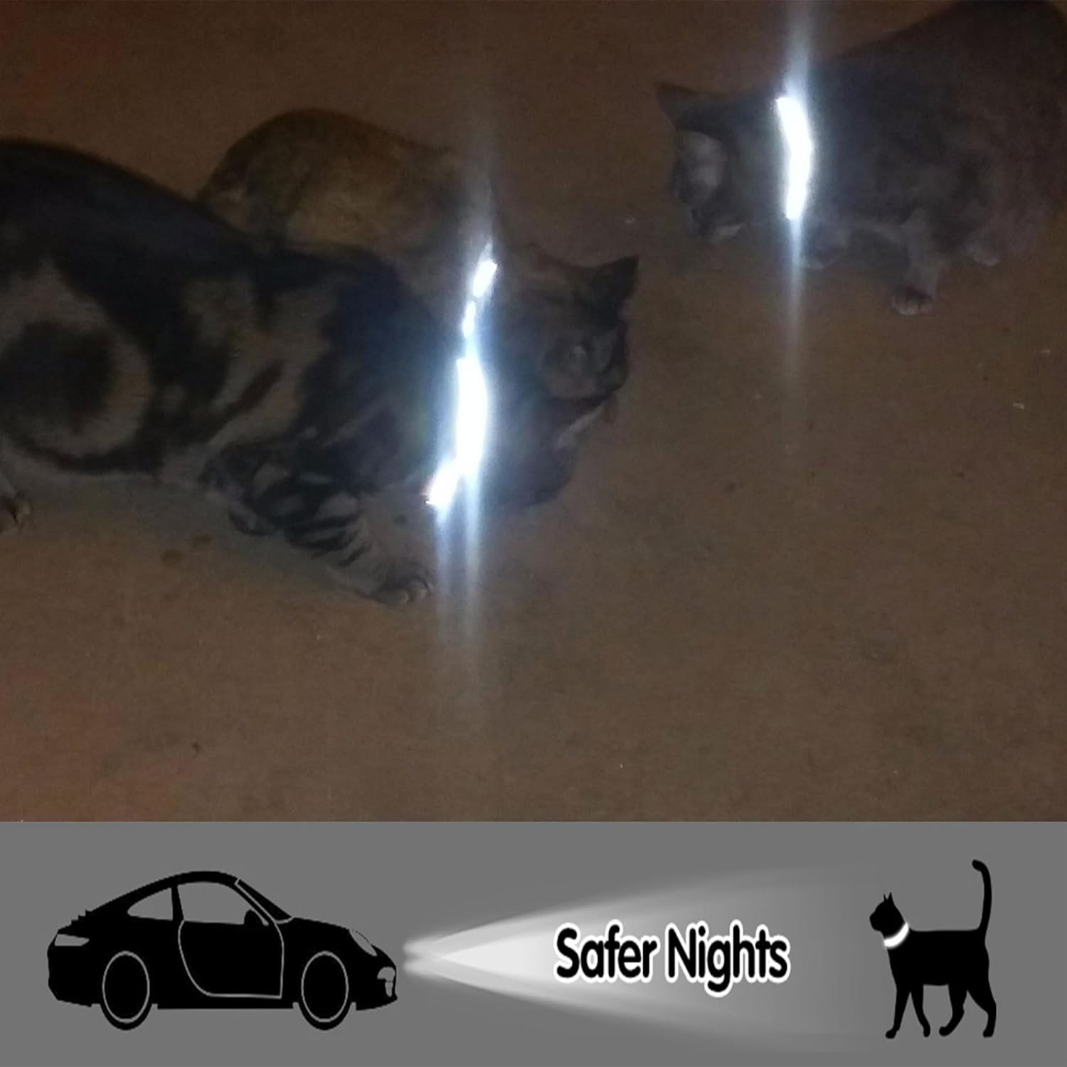 Kitolee Airtag Cat Collar Reflective with Bell (4 Colours, 2 Apple Airtag Holders and 2 ID Tags)