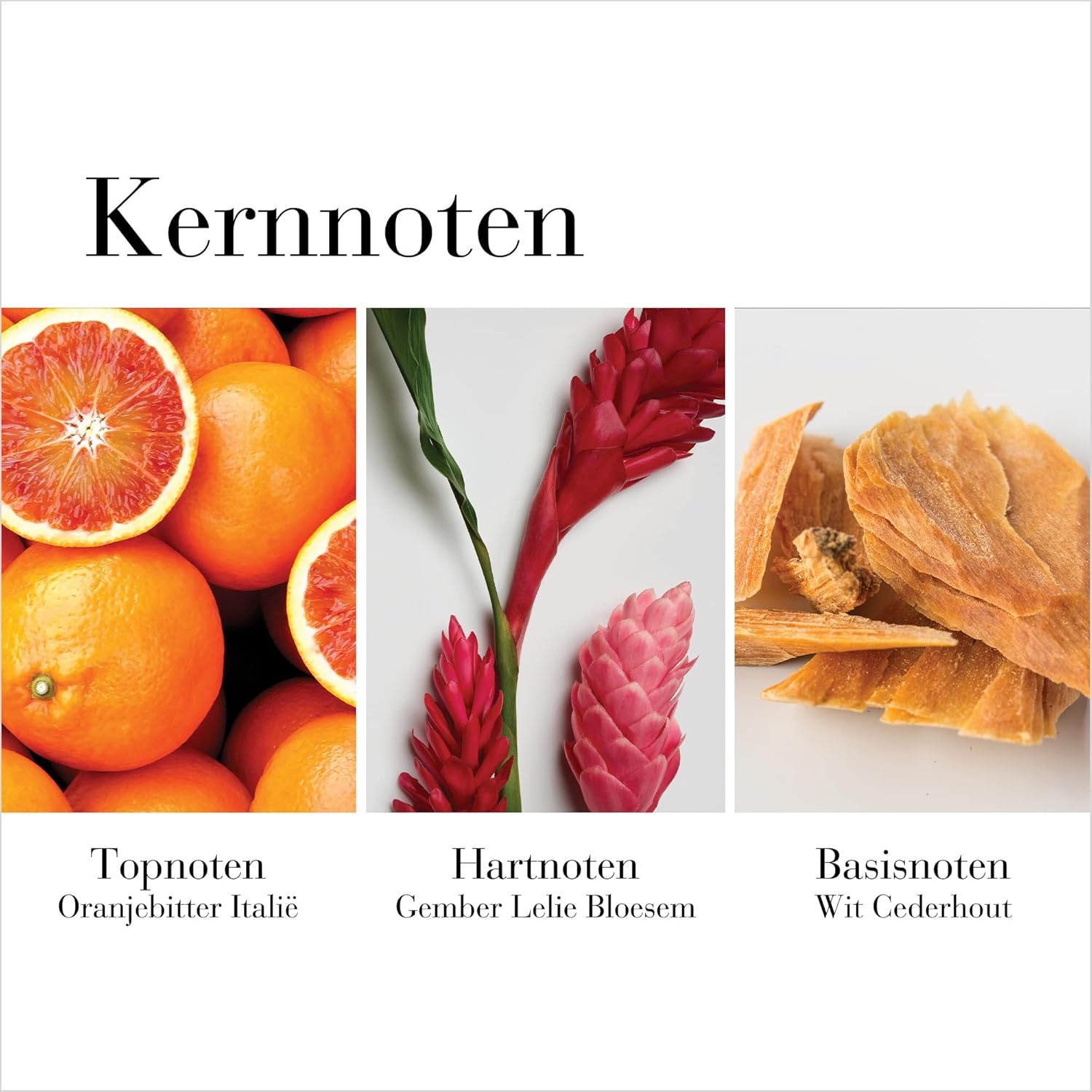 Elizabeth Arden LE White Tea Gingerlily Eau De Toilette Spray for Women 30 Ml image number 5