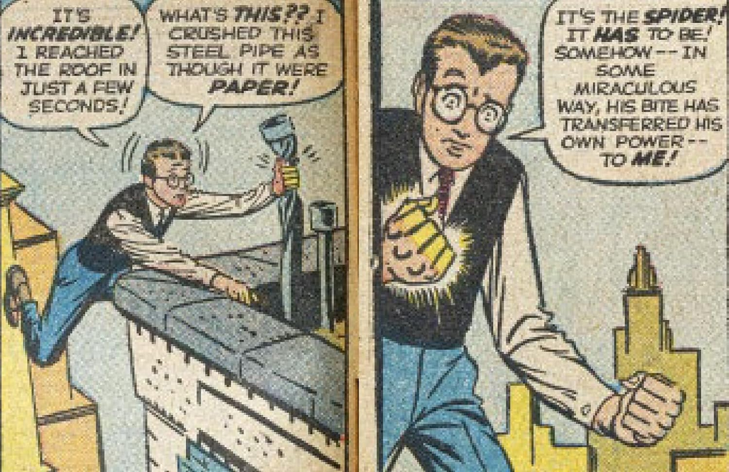 Spider-Man: Panel by Panel