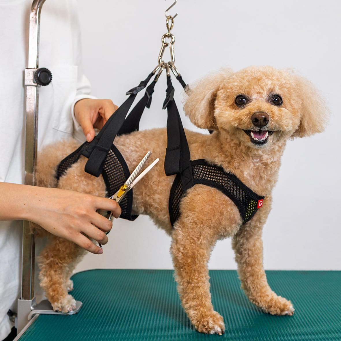 Anifull Anisapo Dog Care Support Holder Black image number 2