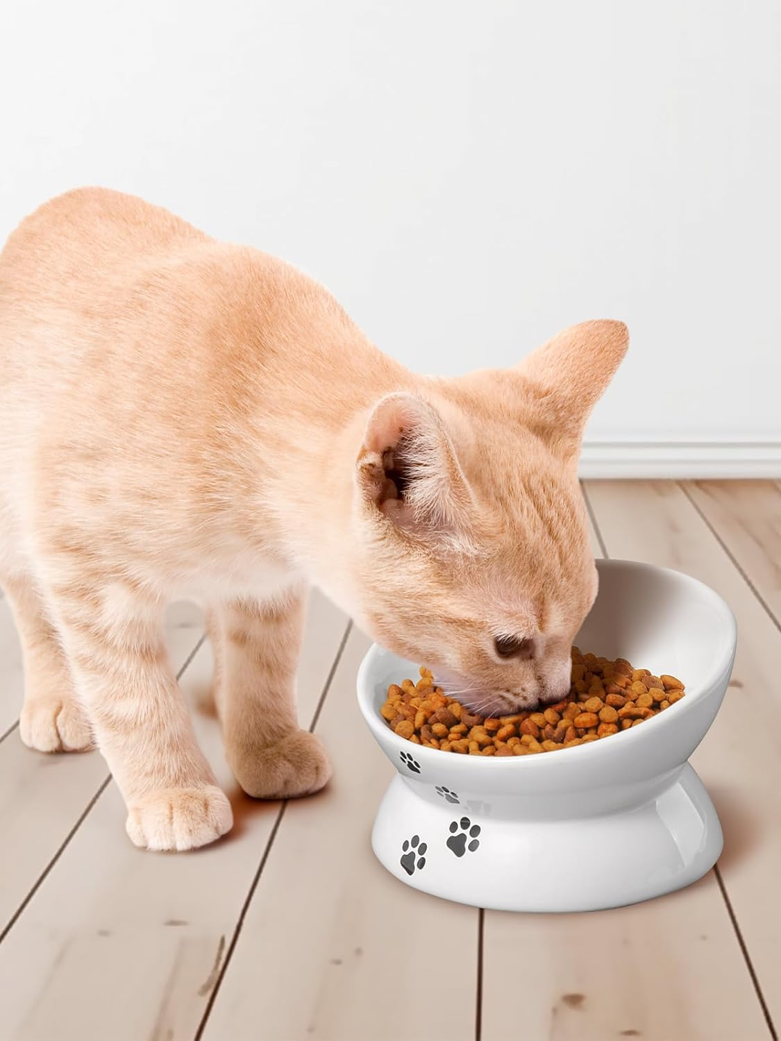 Y YHY Ceramic Raised Cat Food Bowl, Slanted Cat Dish, Tilt Angle Protect Cat'S Spine, Stress Free, Backflow Prevention, Cat, White image number 4