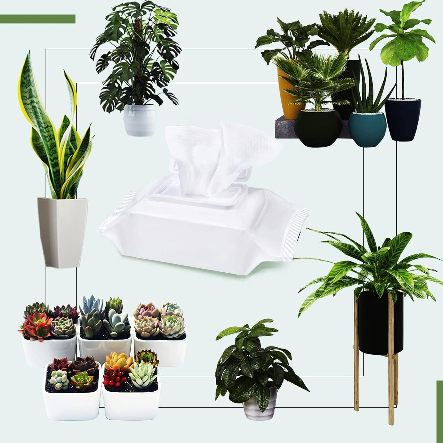 Leopong Plants Cleaning Wipes for Leaf Shine, Clean and Photosynthesis, Leaf Cleaner for House Plants Outdoor Plants (80 Wipes) image number 4