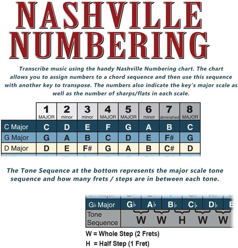 A New Song Music Laminated 4 String Bass Fretboard Notes Chart Nashville Number System & Circle of 5Ths Easy Instructional Poster for Beginner for Notebook 2024-8.5" X 11" image number 4