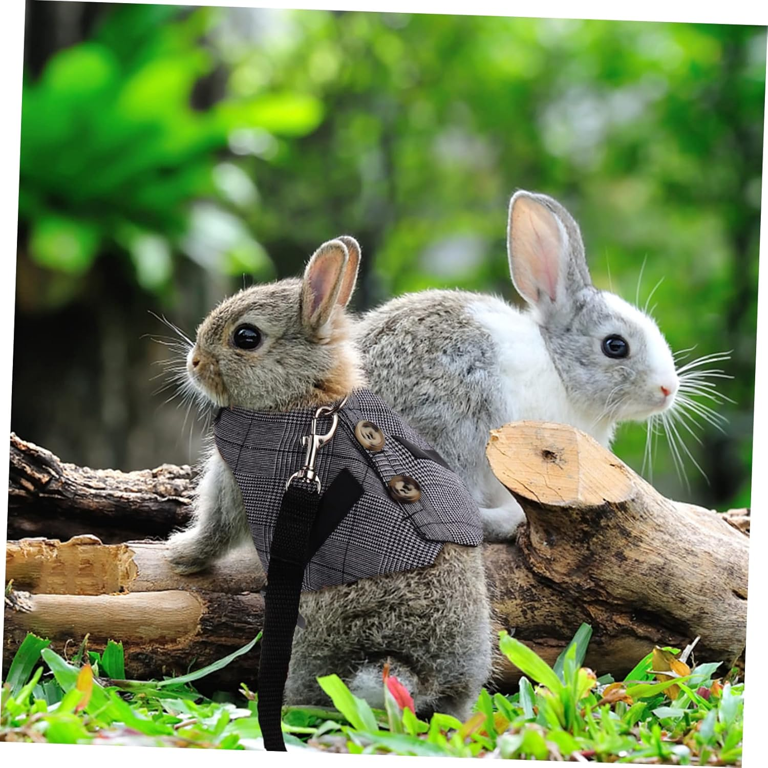 Rabbit Stripe Harness and Leash Set Adjustable Bunny Vest Small Suit Style Pet Harness Anti-Escape Design Suitable for Small Animals and Indoor Outdoor Use image number 6