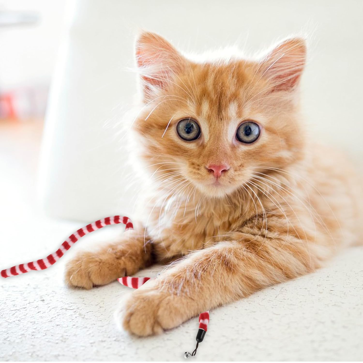 CAPASTEC Snake Shape Cat Wand Replacement for Pet Interactive, Red White