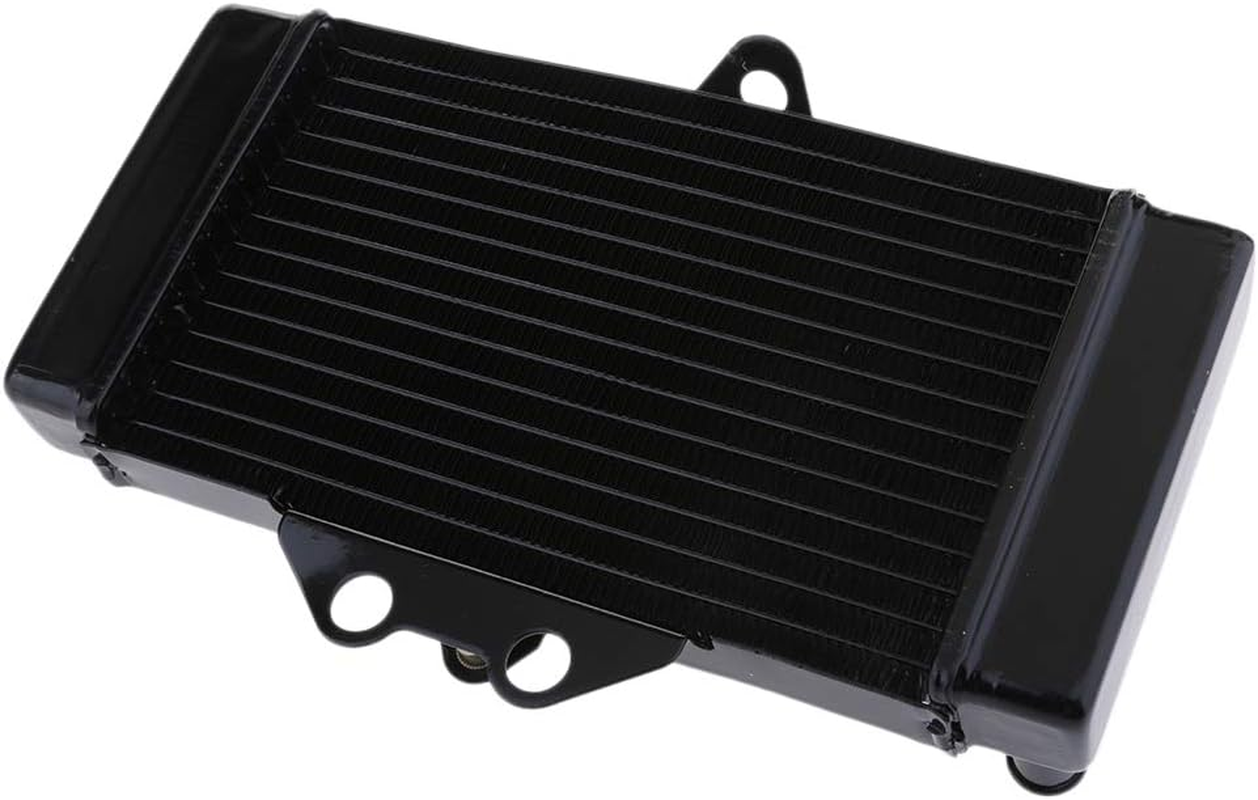 OEM Motorcycle Cooling Cooler Radiator Fit for VTR250 2005 2006 2007