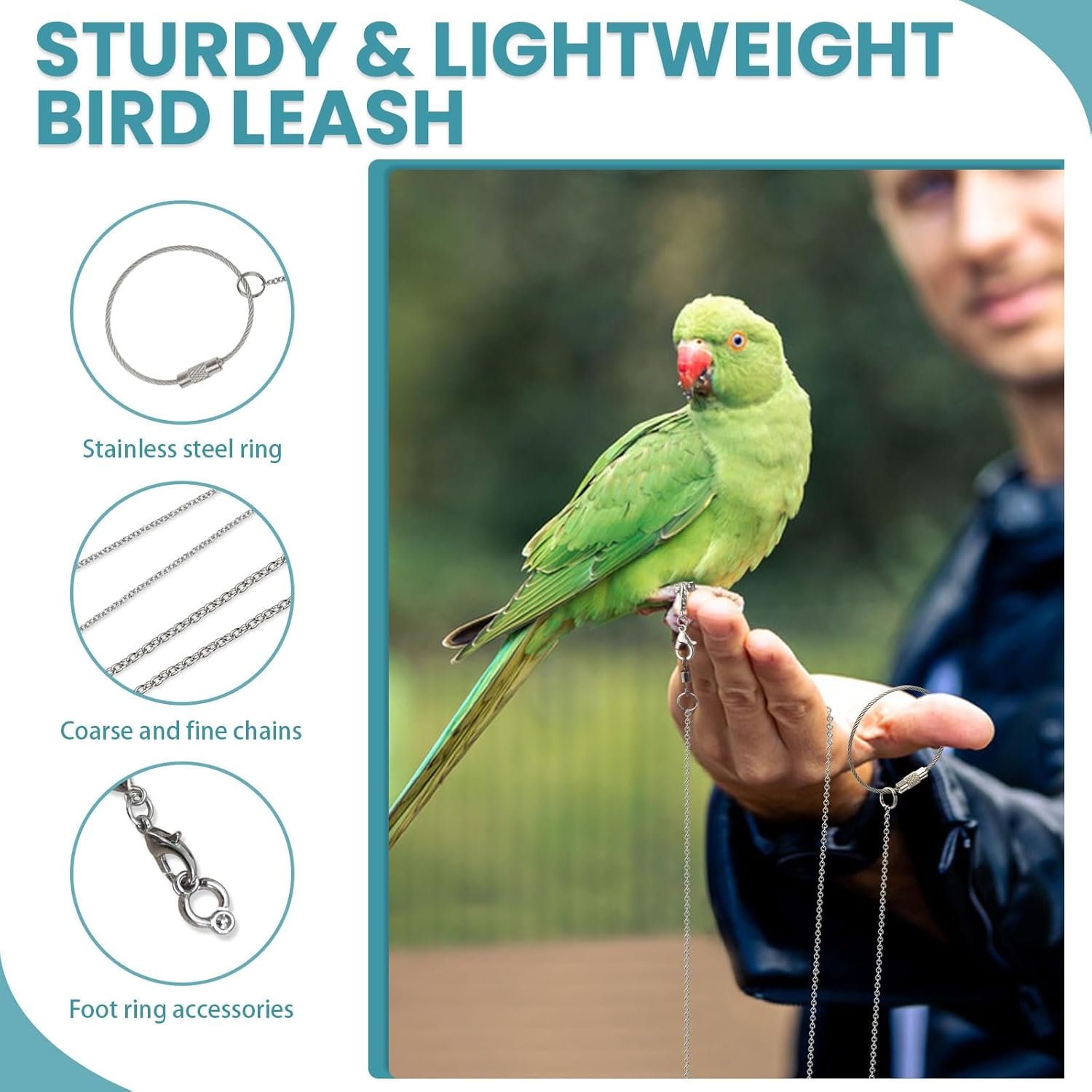 LELE LIFE 2 Pack 1M Bird Leash with 5 Sizes Ankle Rings, Stainless Steel Anti-Bite Parrot Bird Harness Flying Training Chain Leg Rope Outdoor Parrot Alloy Foot Ring image number 2