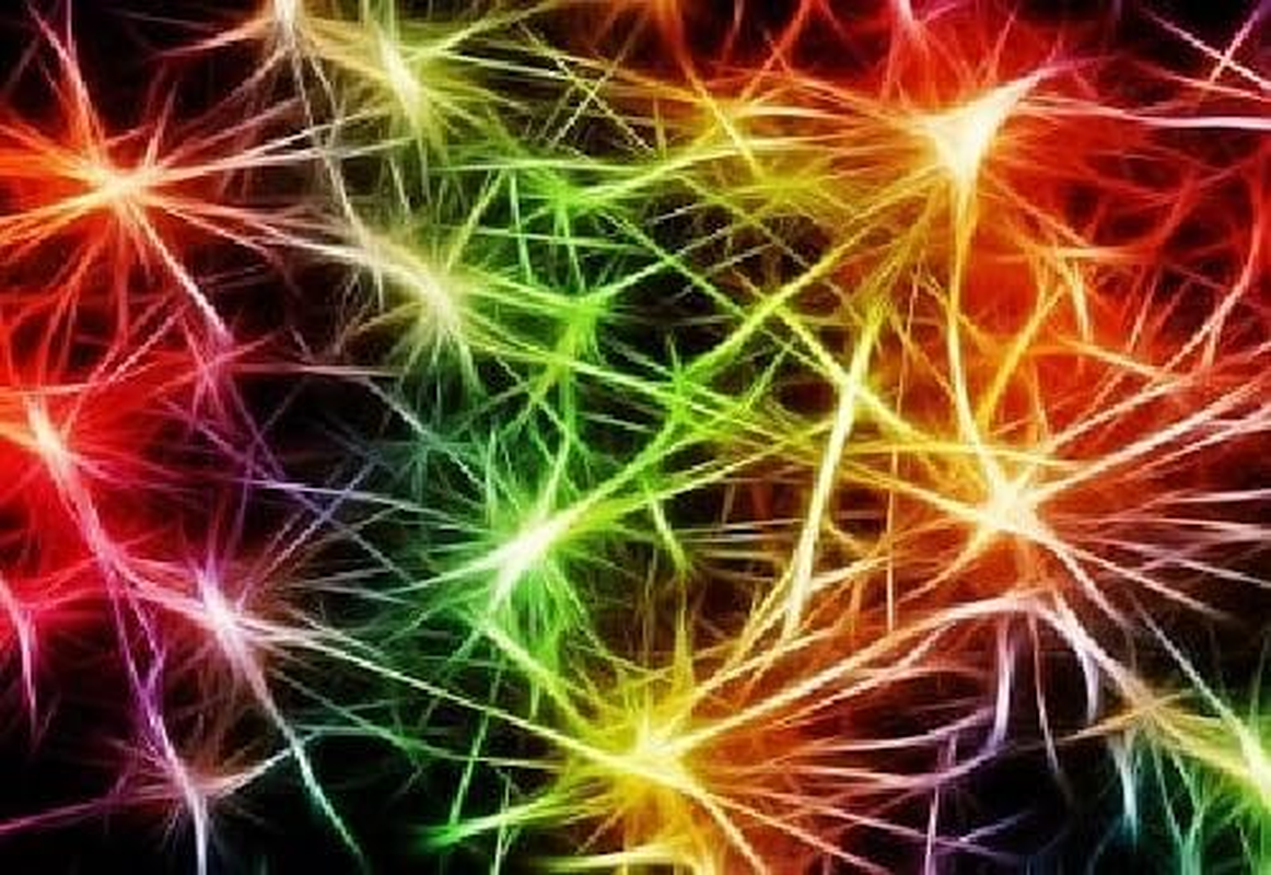 Latest New Release Fedora Linux "Comp-Neuro" Operating System for PC on DVD