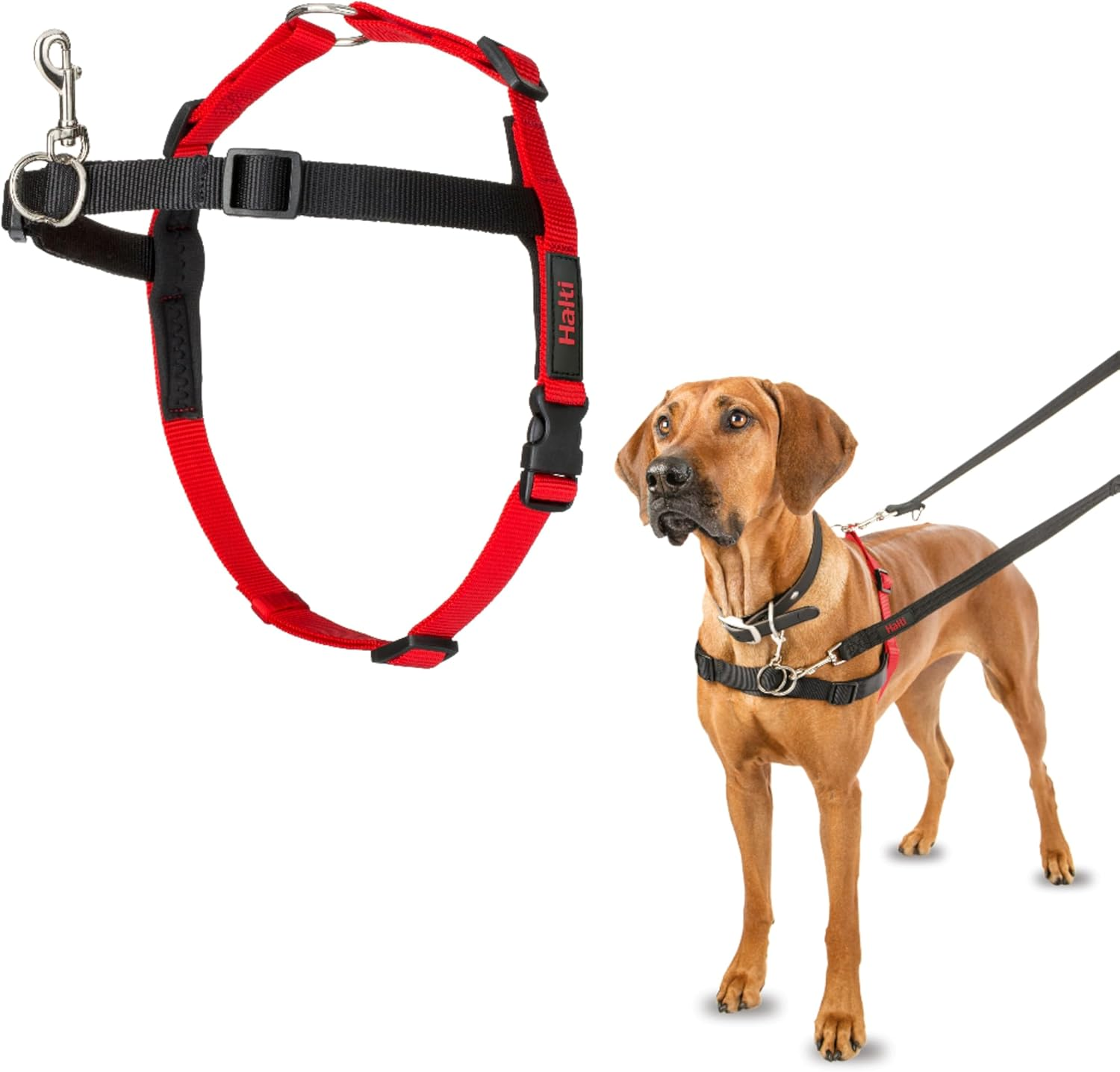 Company of Animals 42331 Halti Harness for Dogs, Medium, Black/Red image number 4